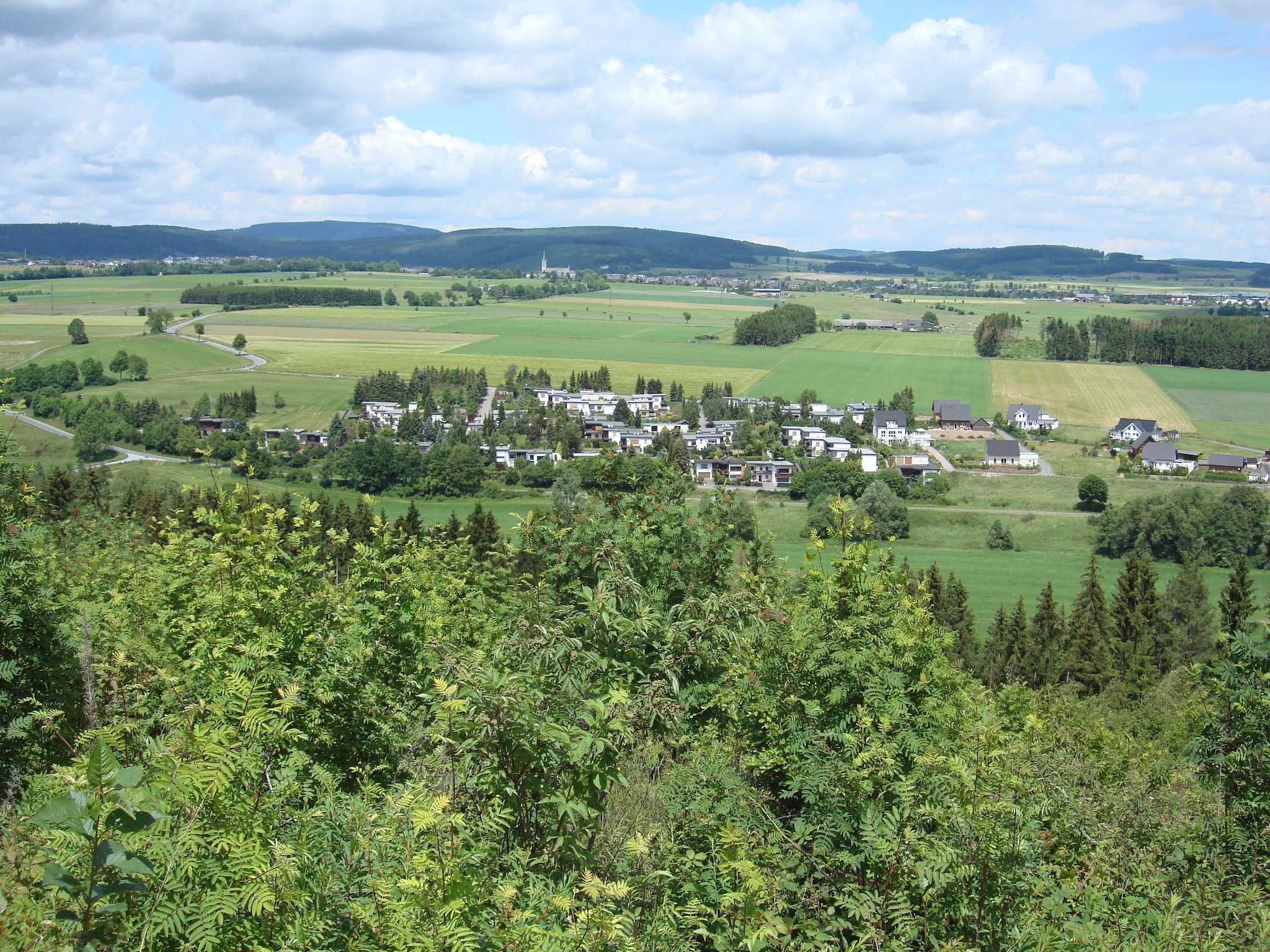   Köster