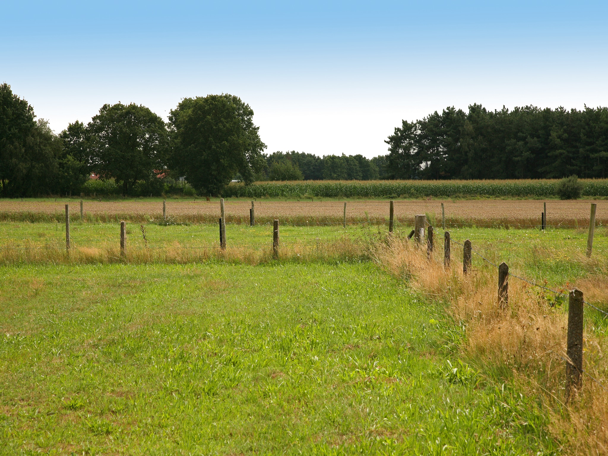 Vakantiehuis Boshuub