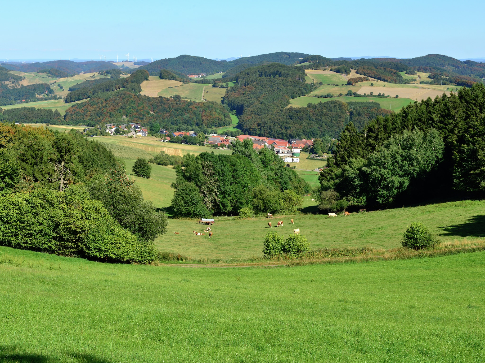 Ferienwohnung Willingen