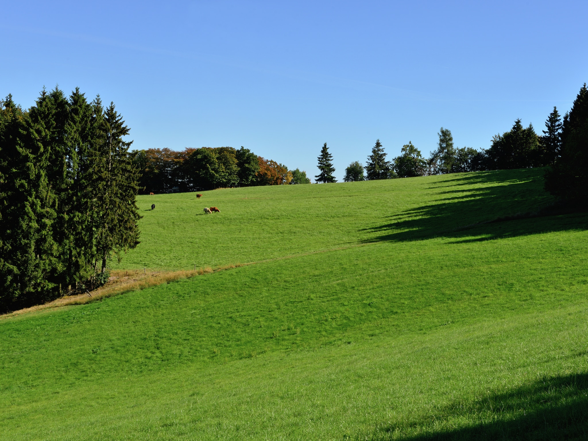Ferienwohnung Willingen