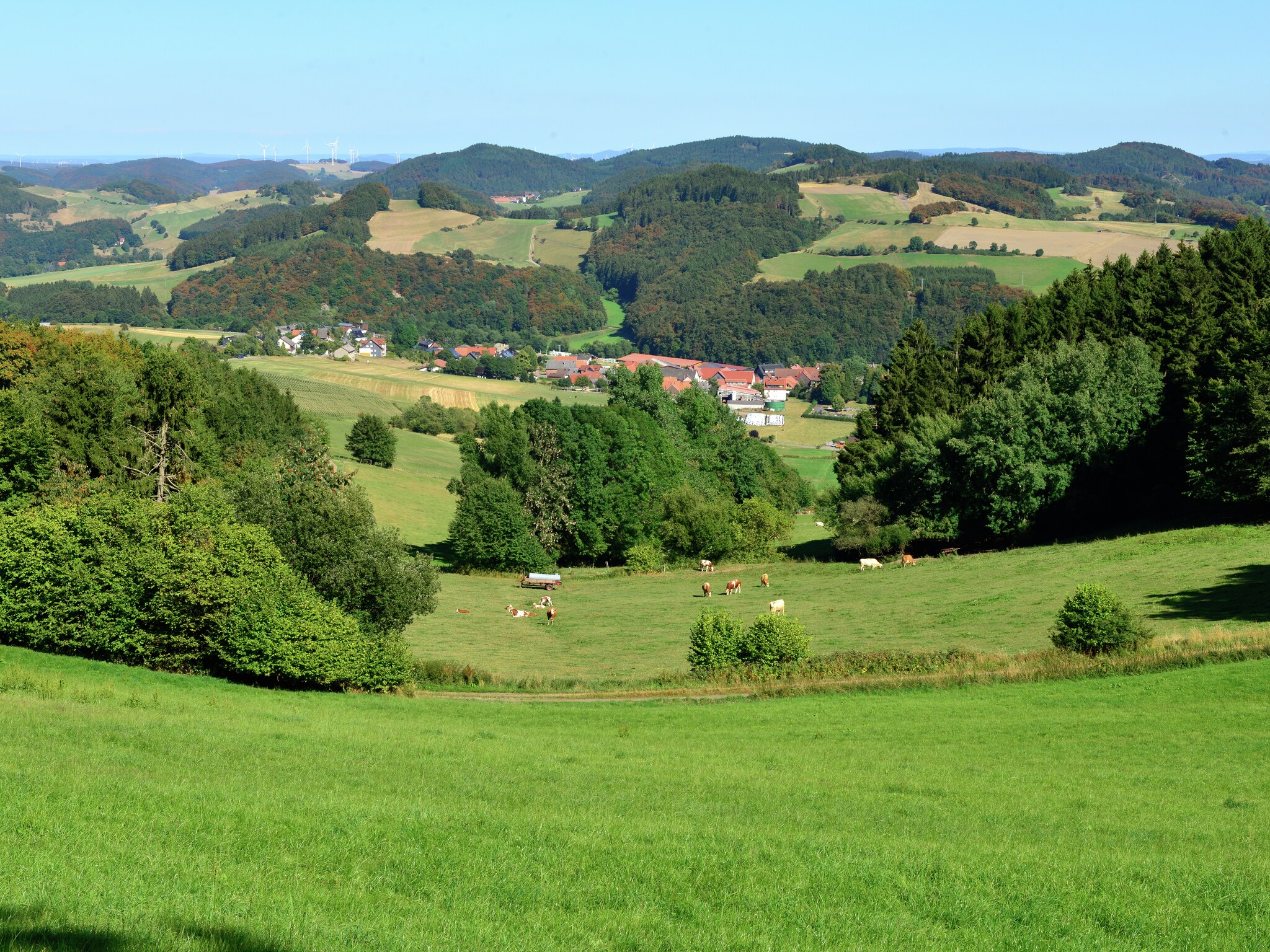 Appartement Willingen