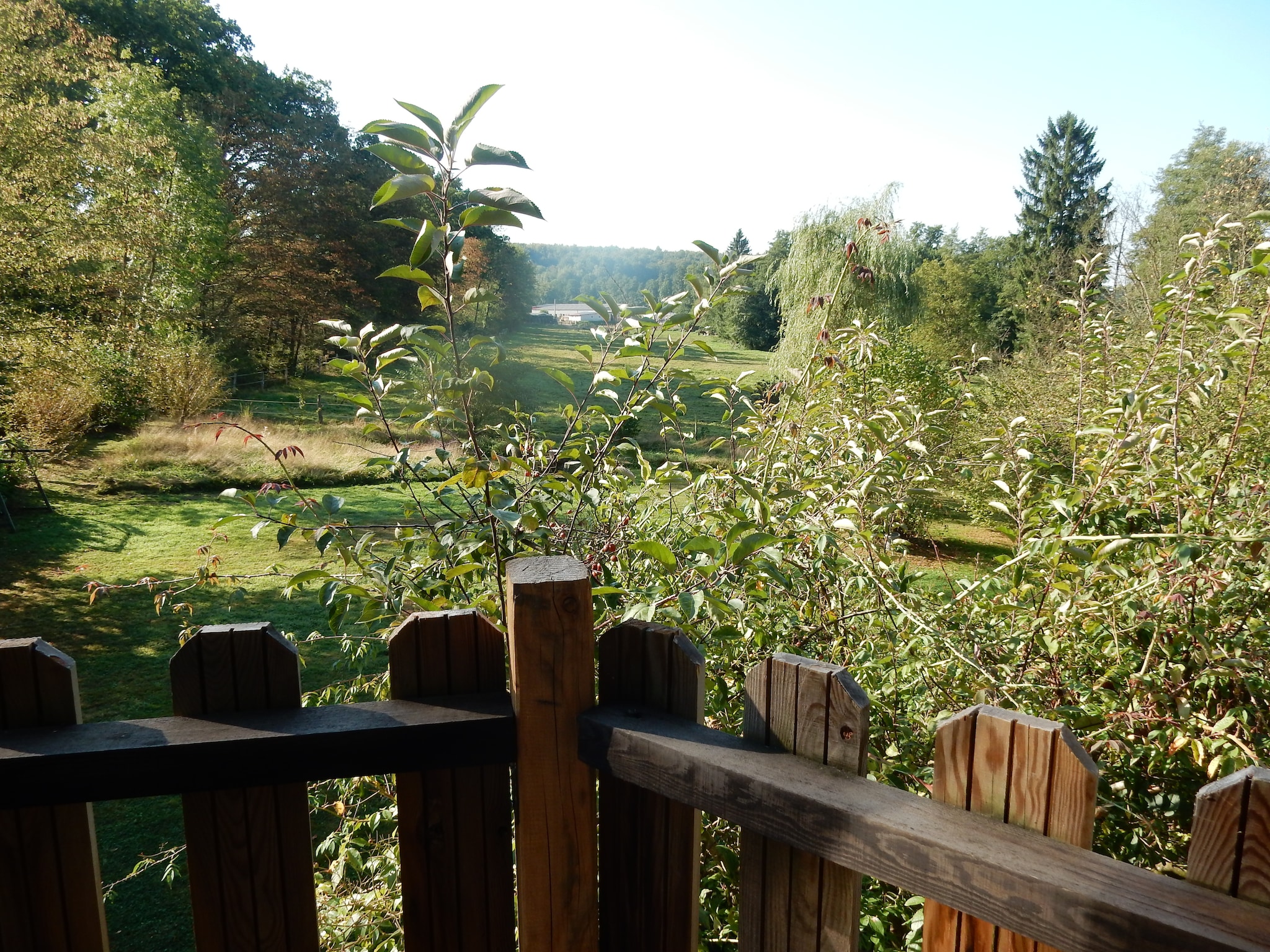   Maison de vacances - Niderviller Loft
