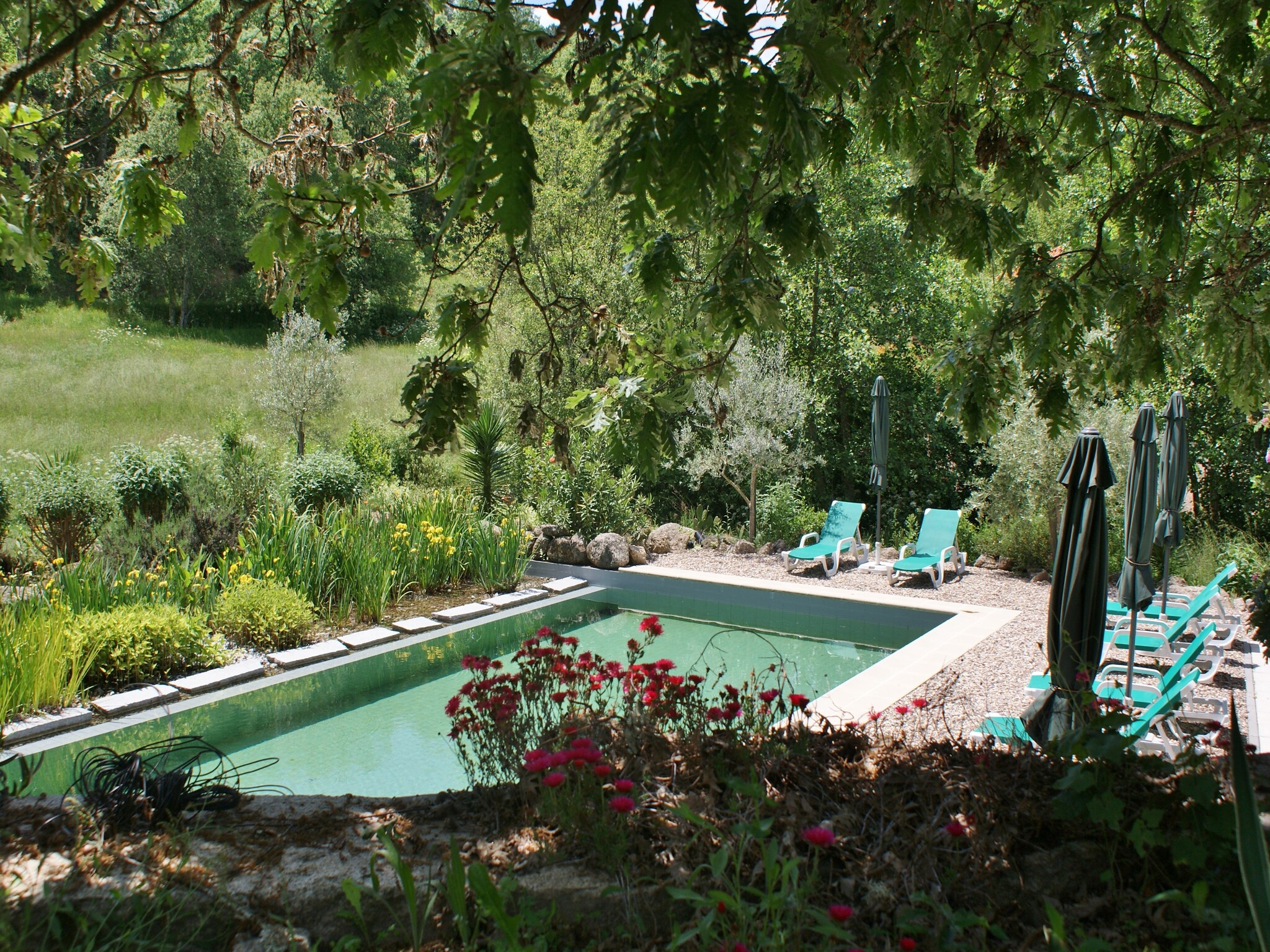   Casa Mimosa