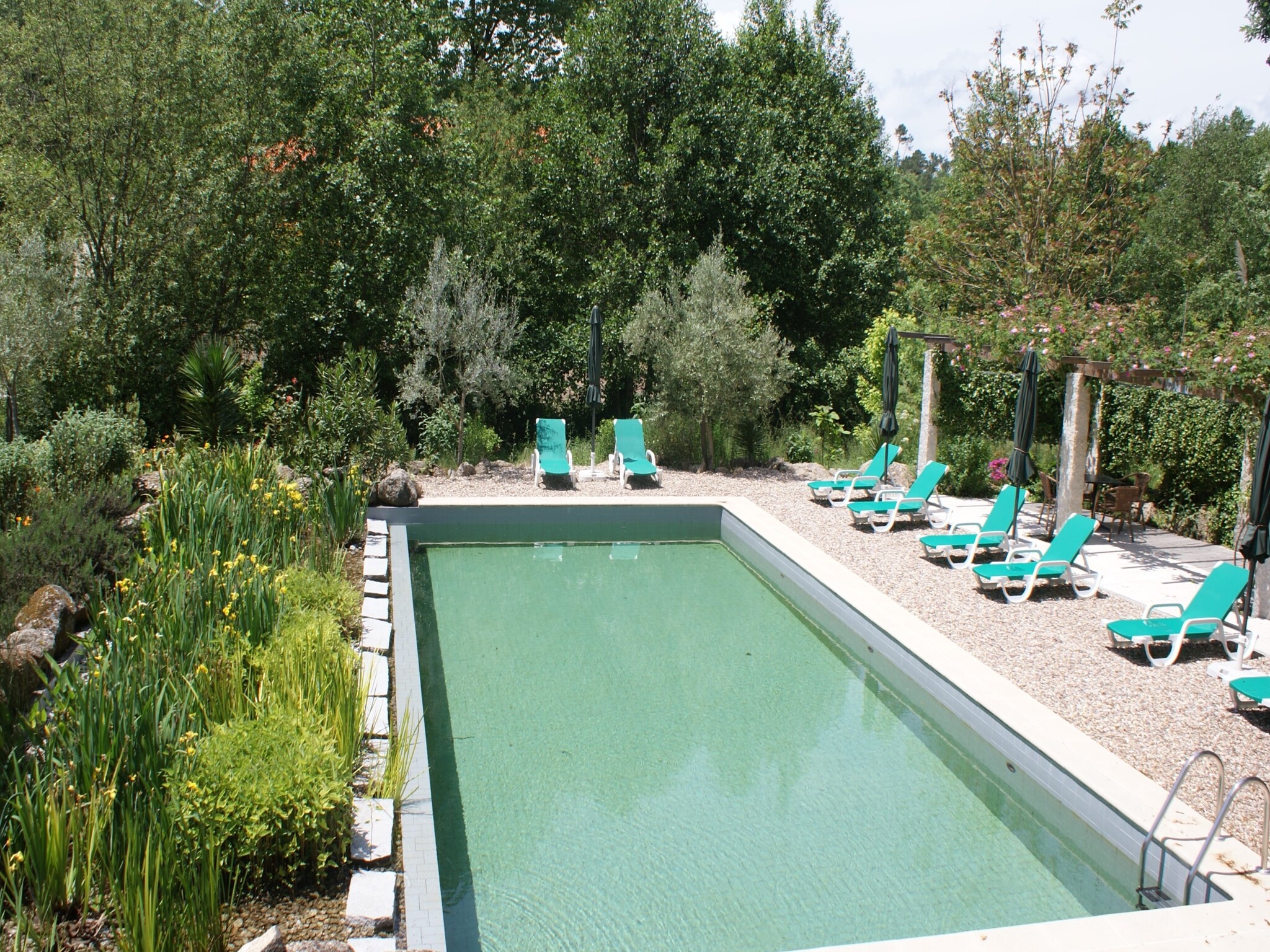   Casa Mimosa