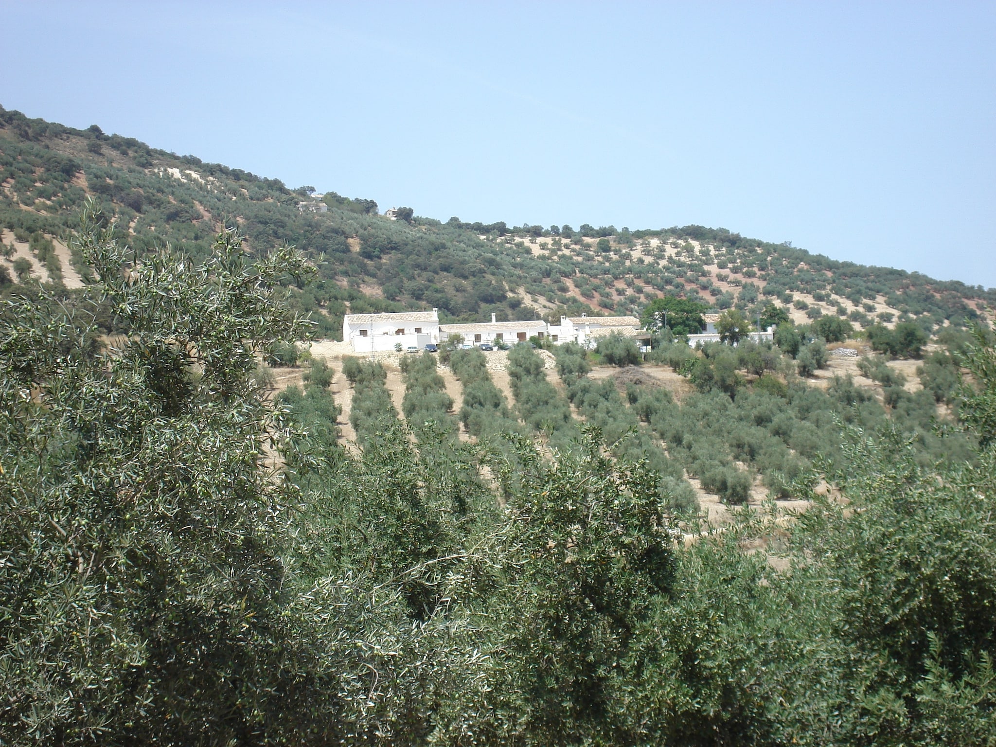 Ferienhaus El Molino