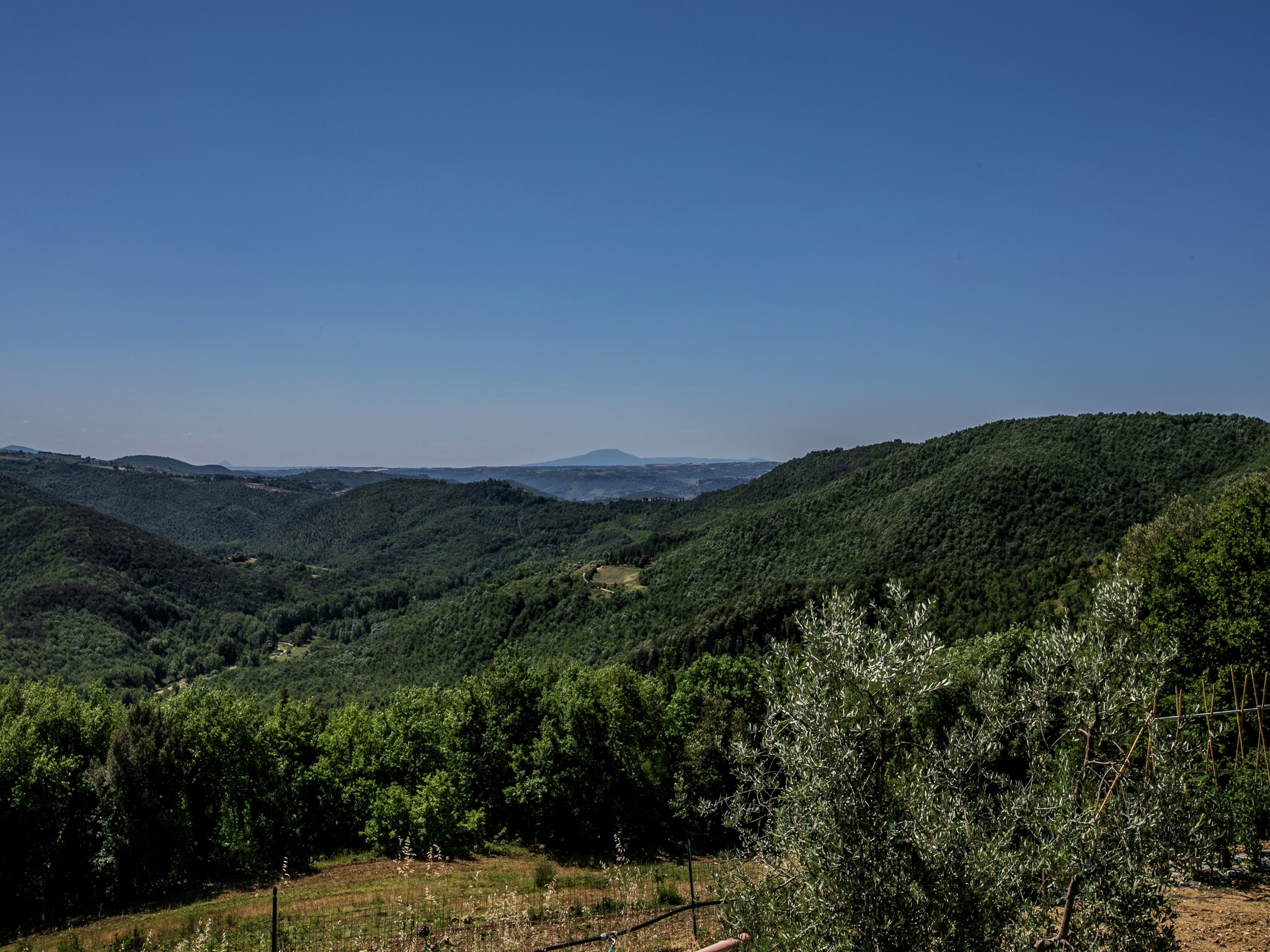 Casa di vacanze Zafferano