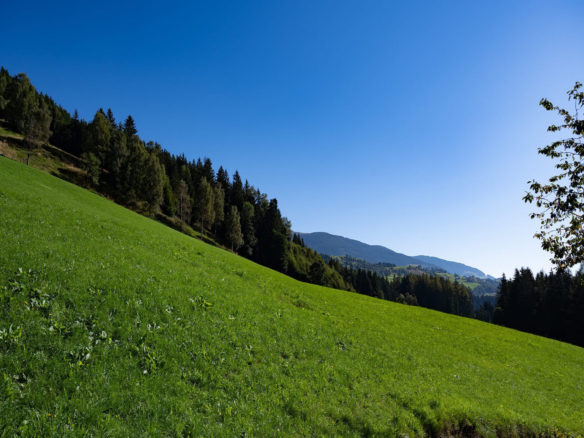 Appartement Waldrand