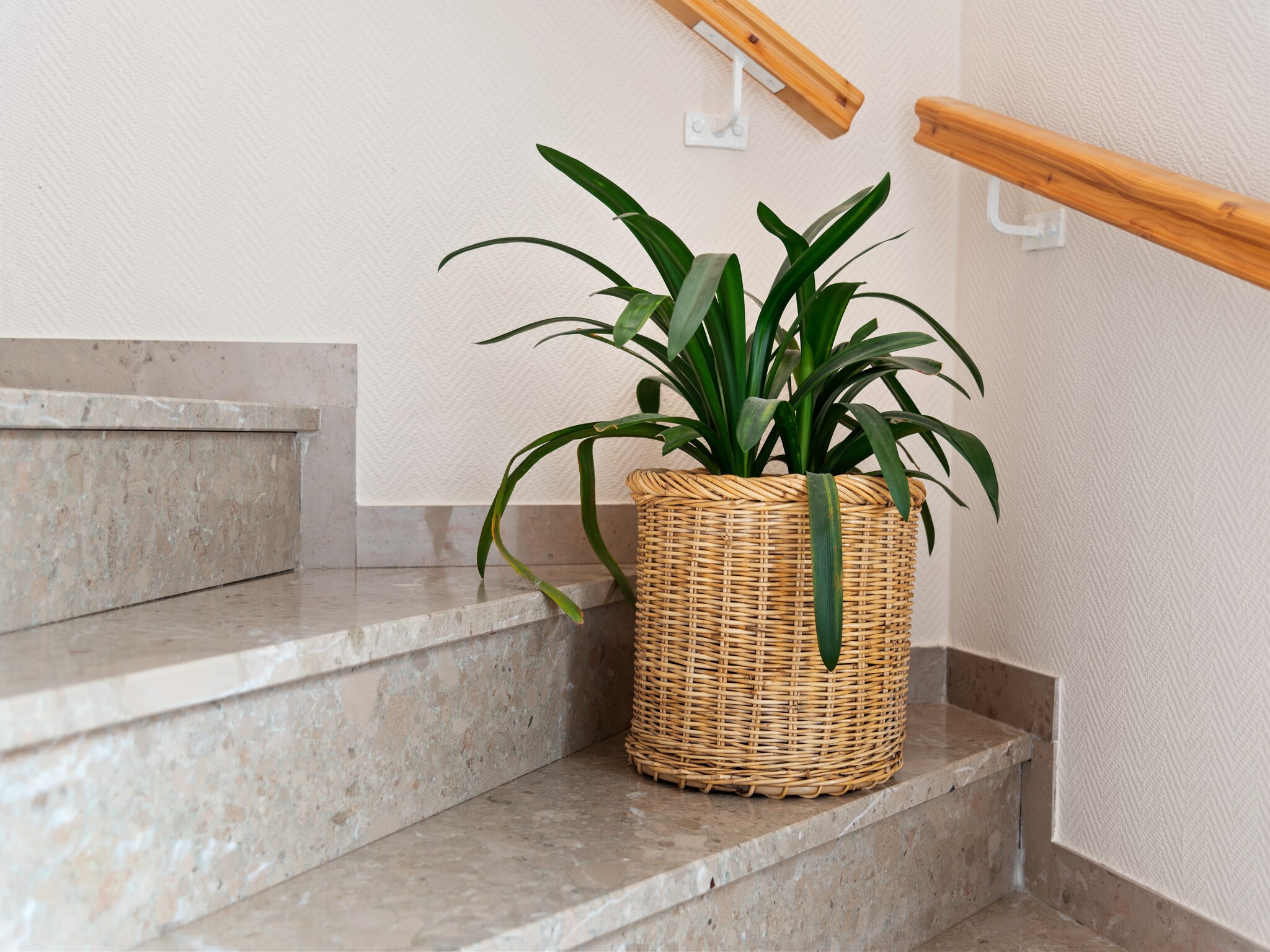 Appartement Ferienwohnung Galm