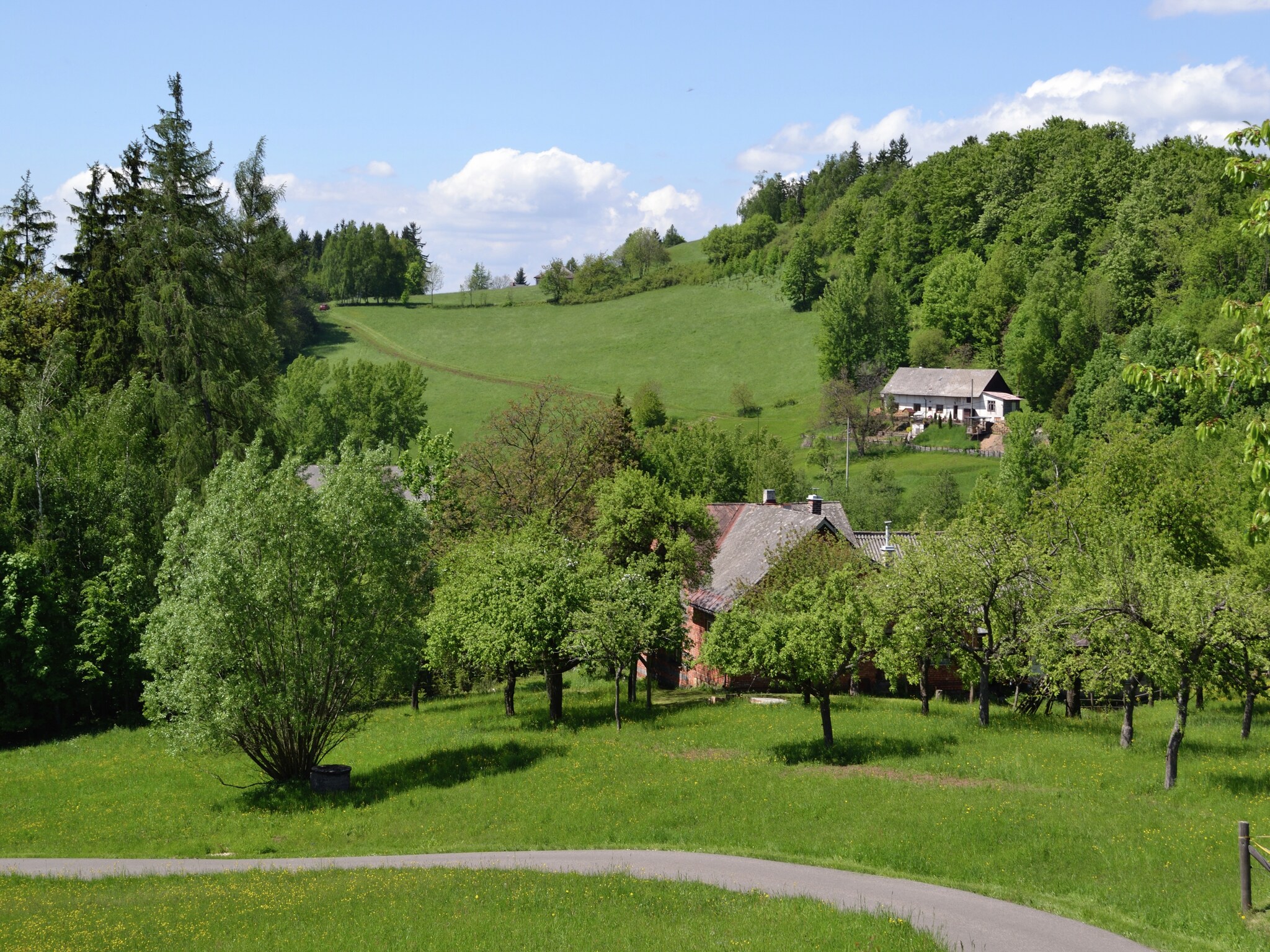   Berghaus