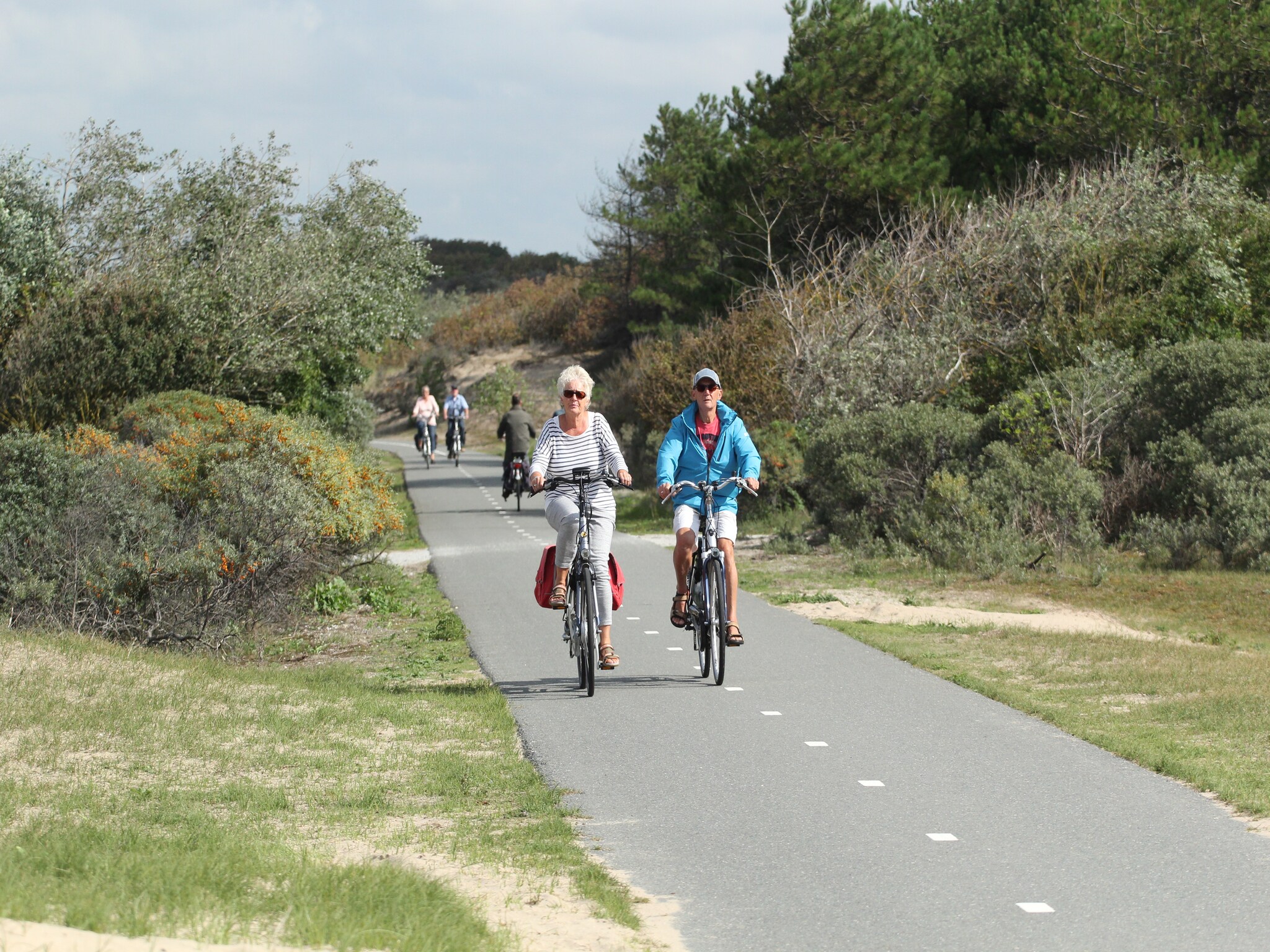   Vakantiepark Duinrust 1