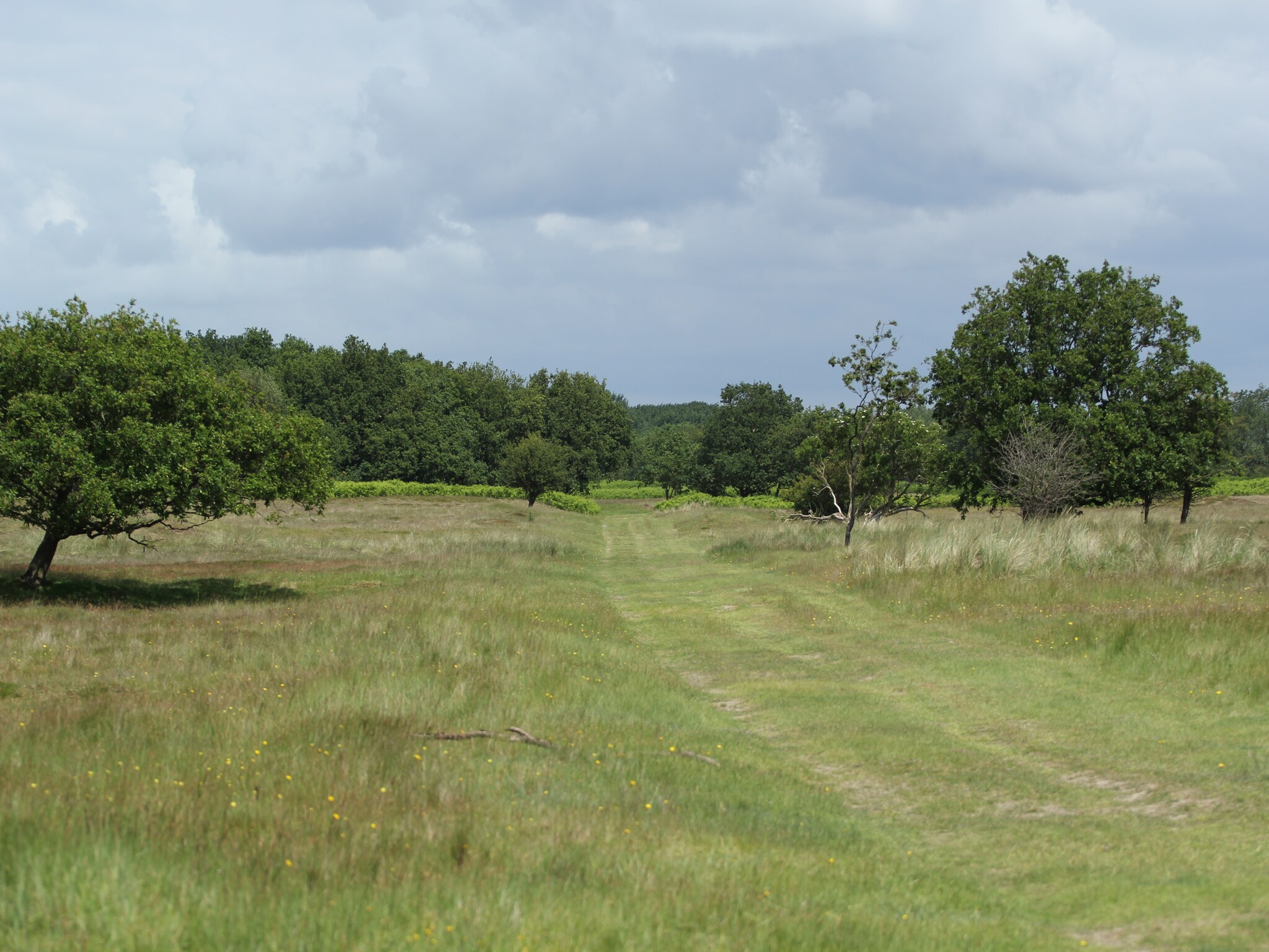   Vakantiepark Duinrust 1