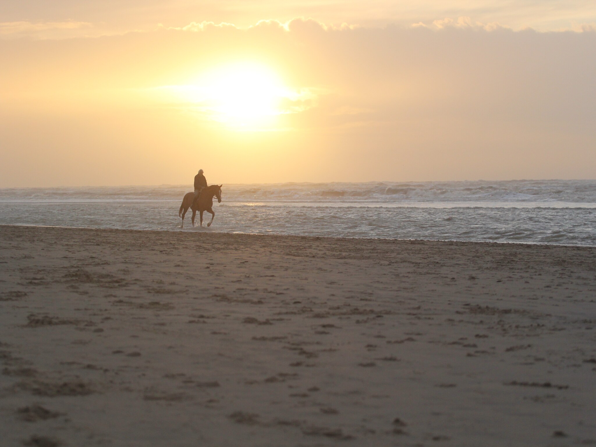   Vakantiepark Duinrust 1