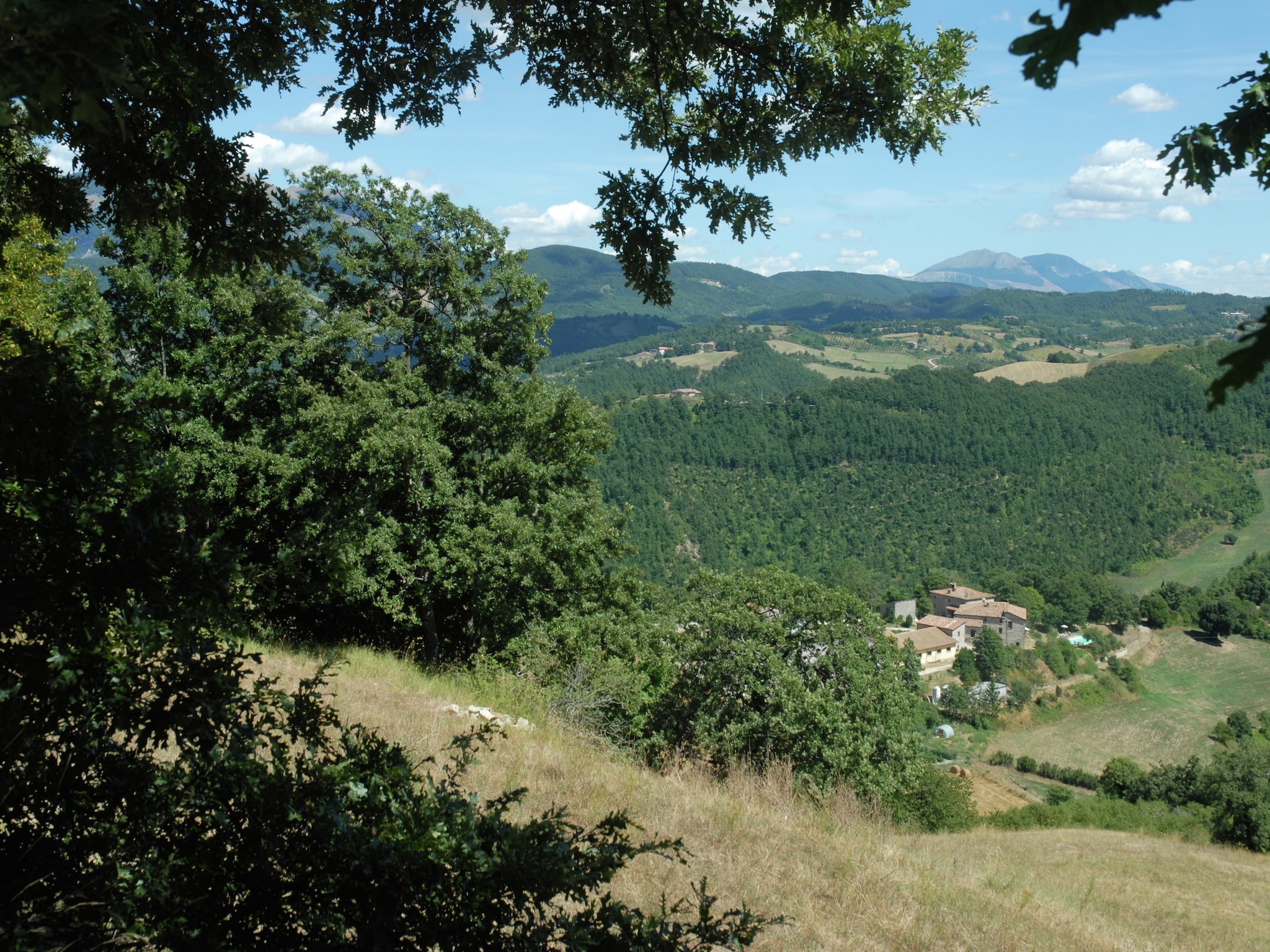 Feriebolig Montalto