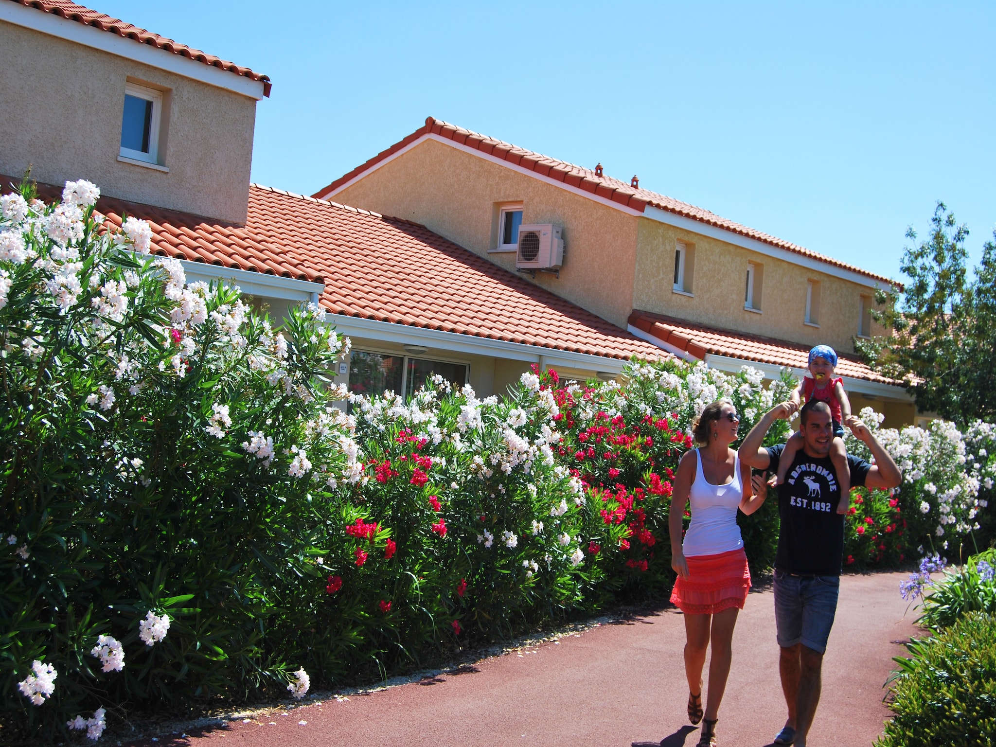   Mas de Torreilles 1