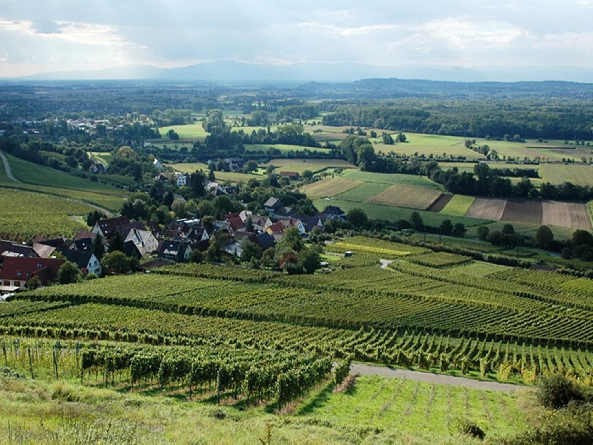Ferienwohnung Im Rheintal