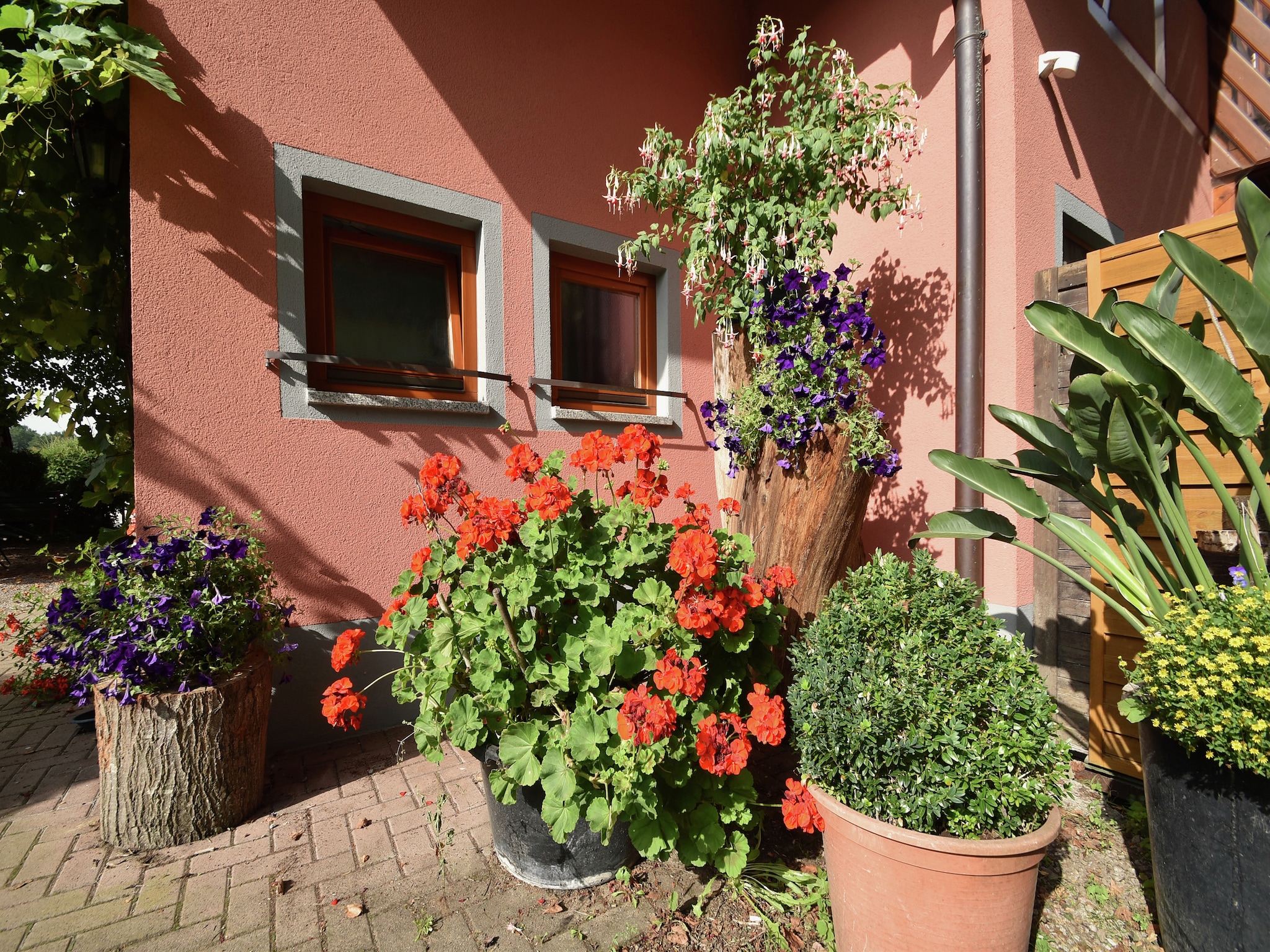 Ferienwohnung Im Rheintal