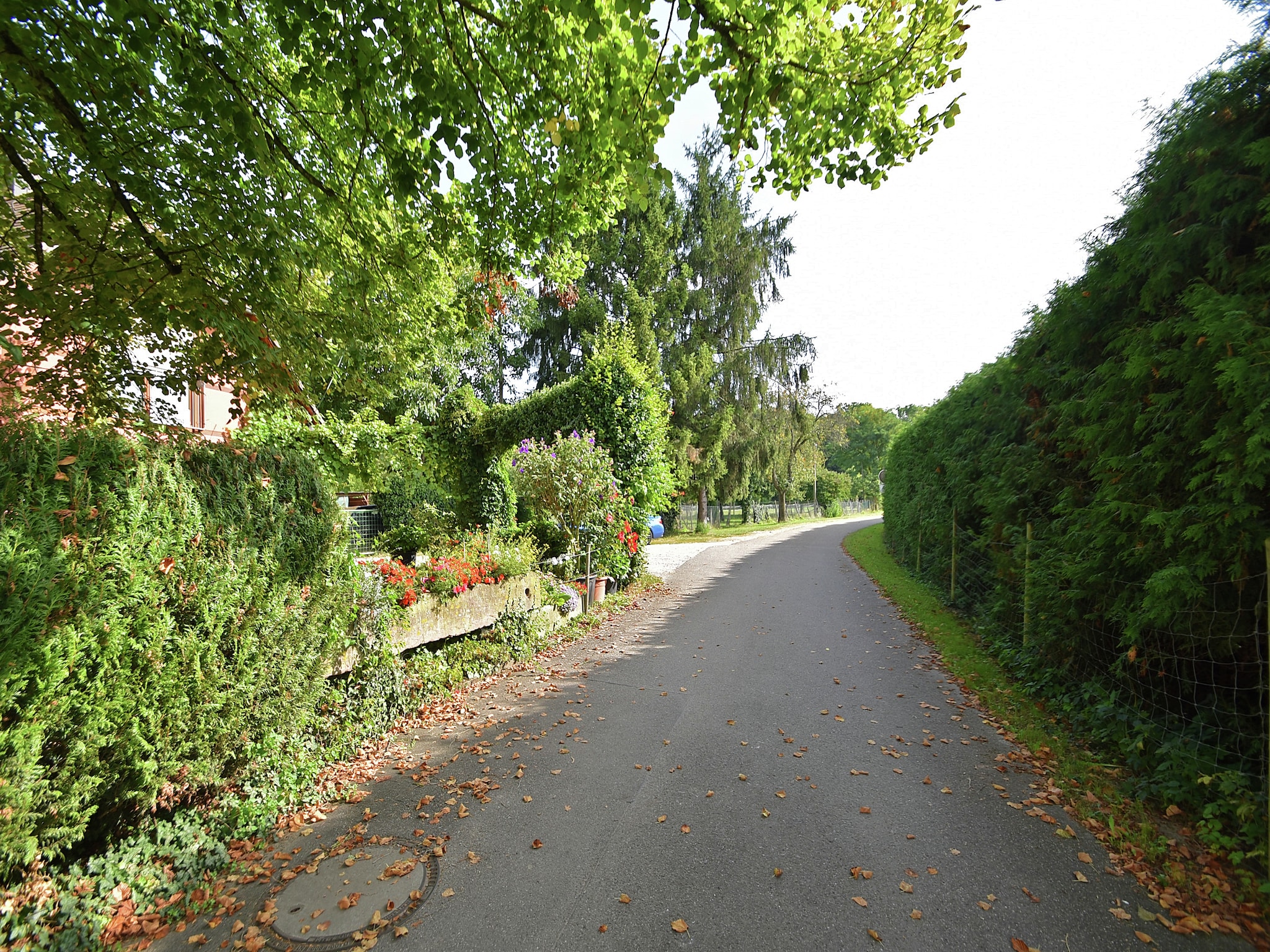 Ferienwohnung Im Rheintal