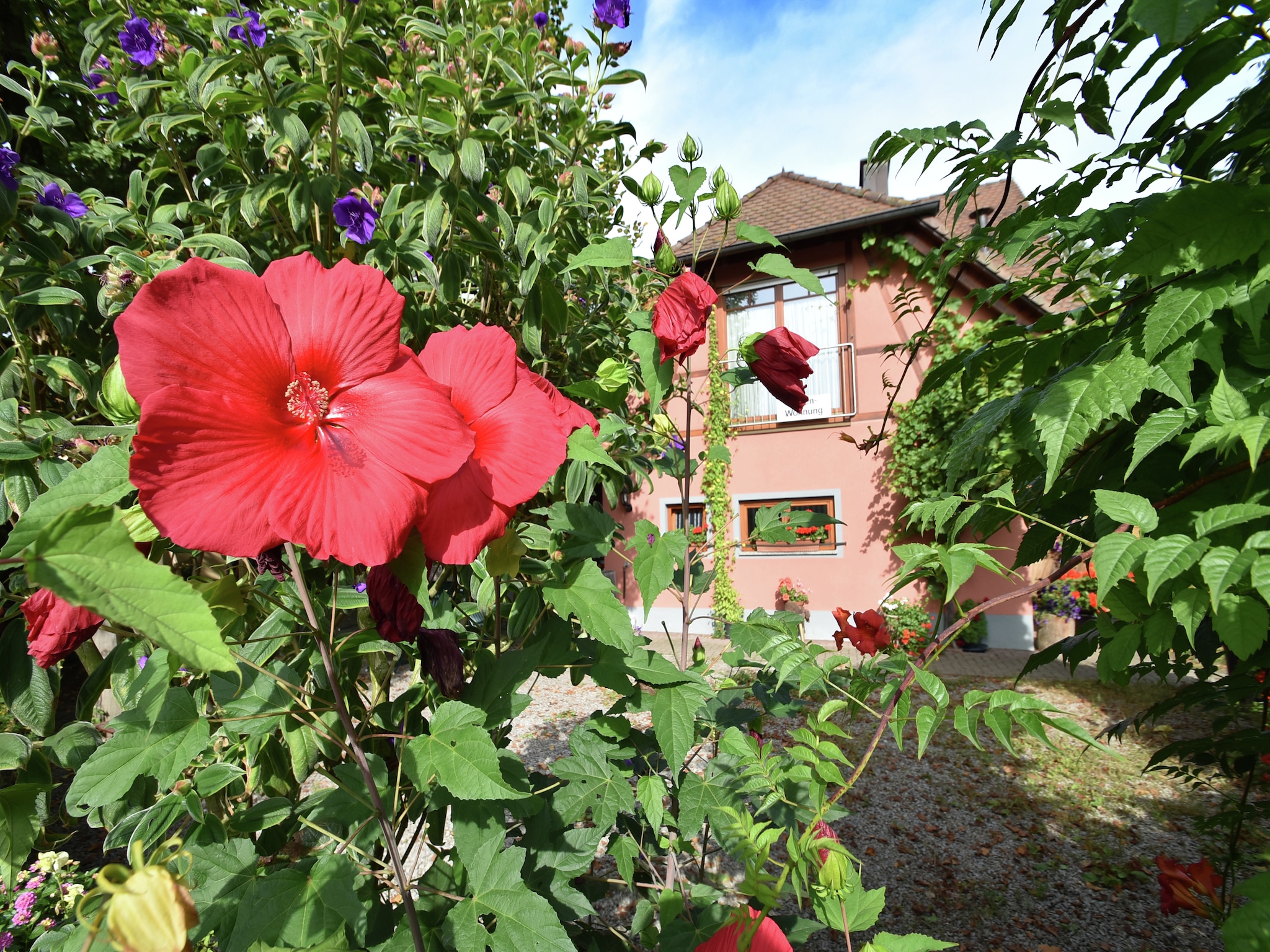 Ferienwohnung Im Rheintal