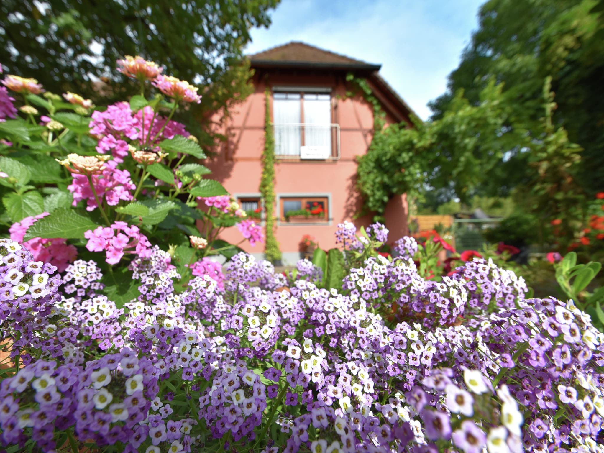 Ferienwohnung Im Rheintal