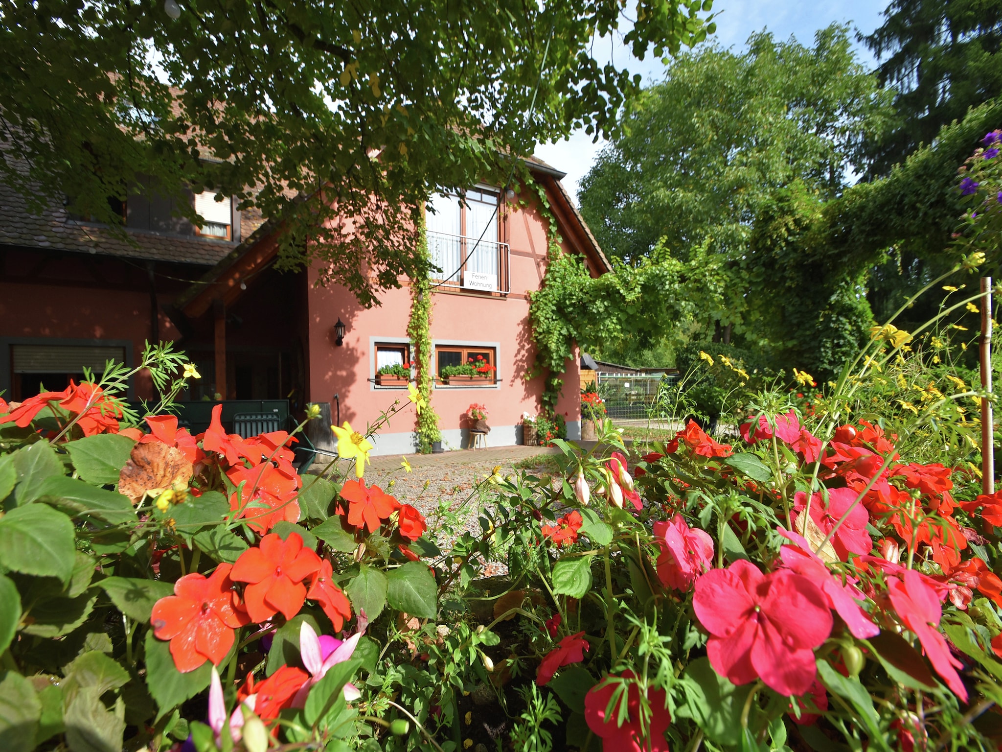Ferienwohnung Im Rheintal