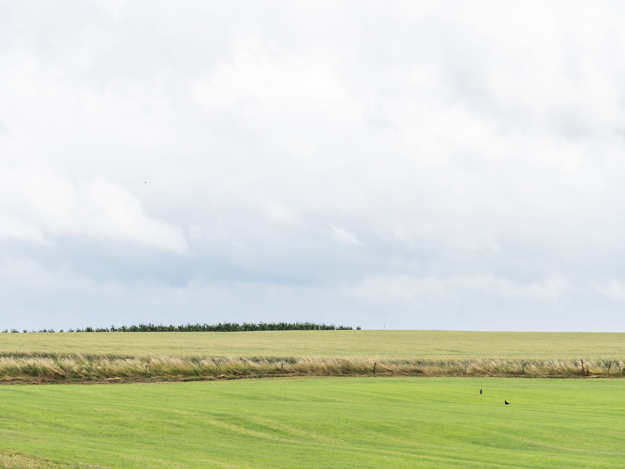 Feriebolig Hoeve de Drogenberg