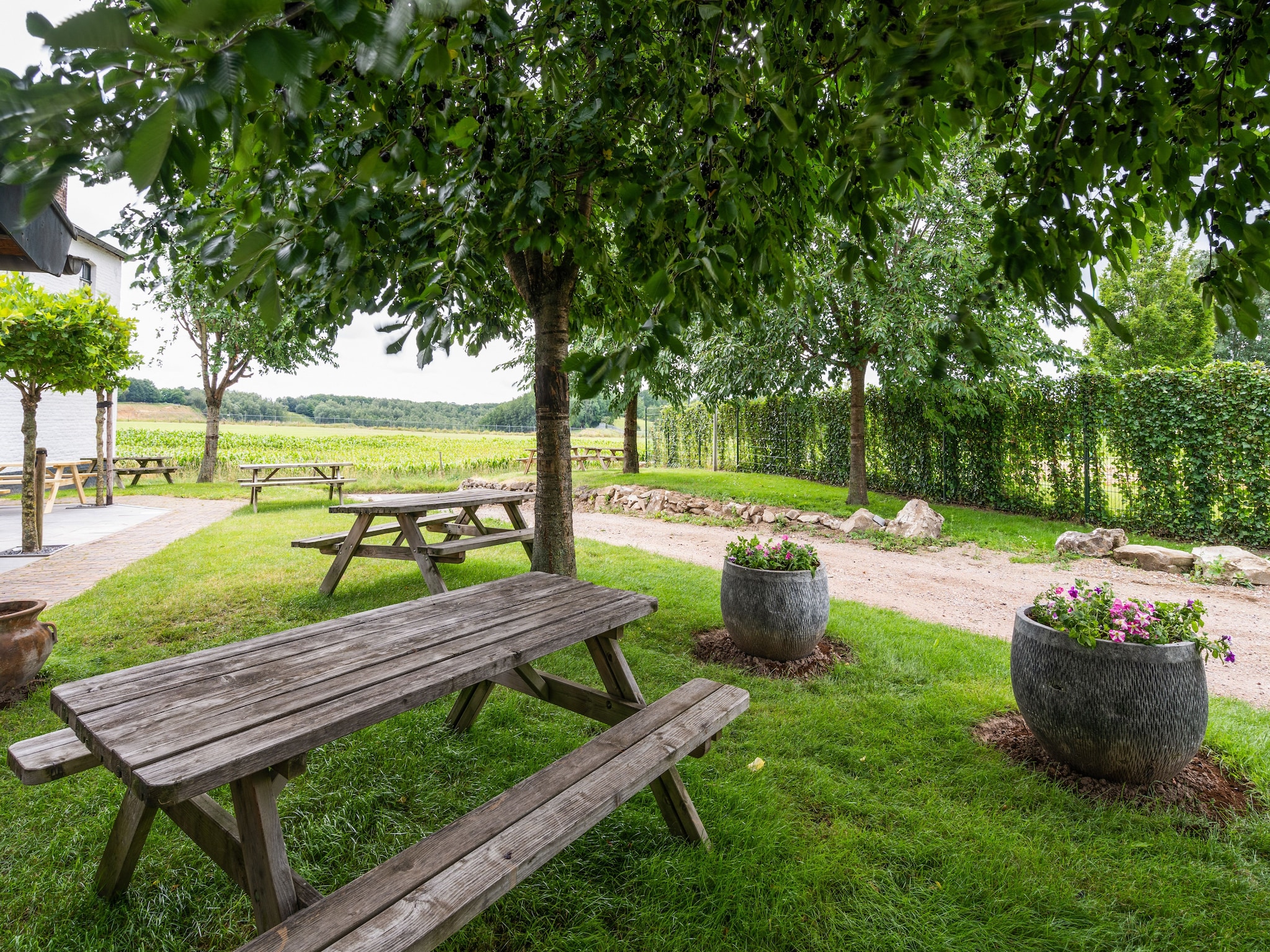 Feriebolig Hoeve de Drogenberg de Schuur