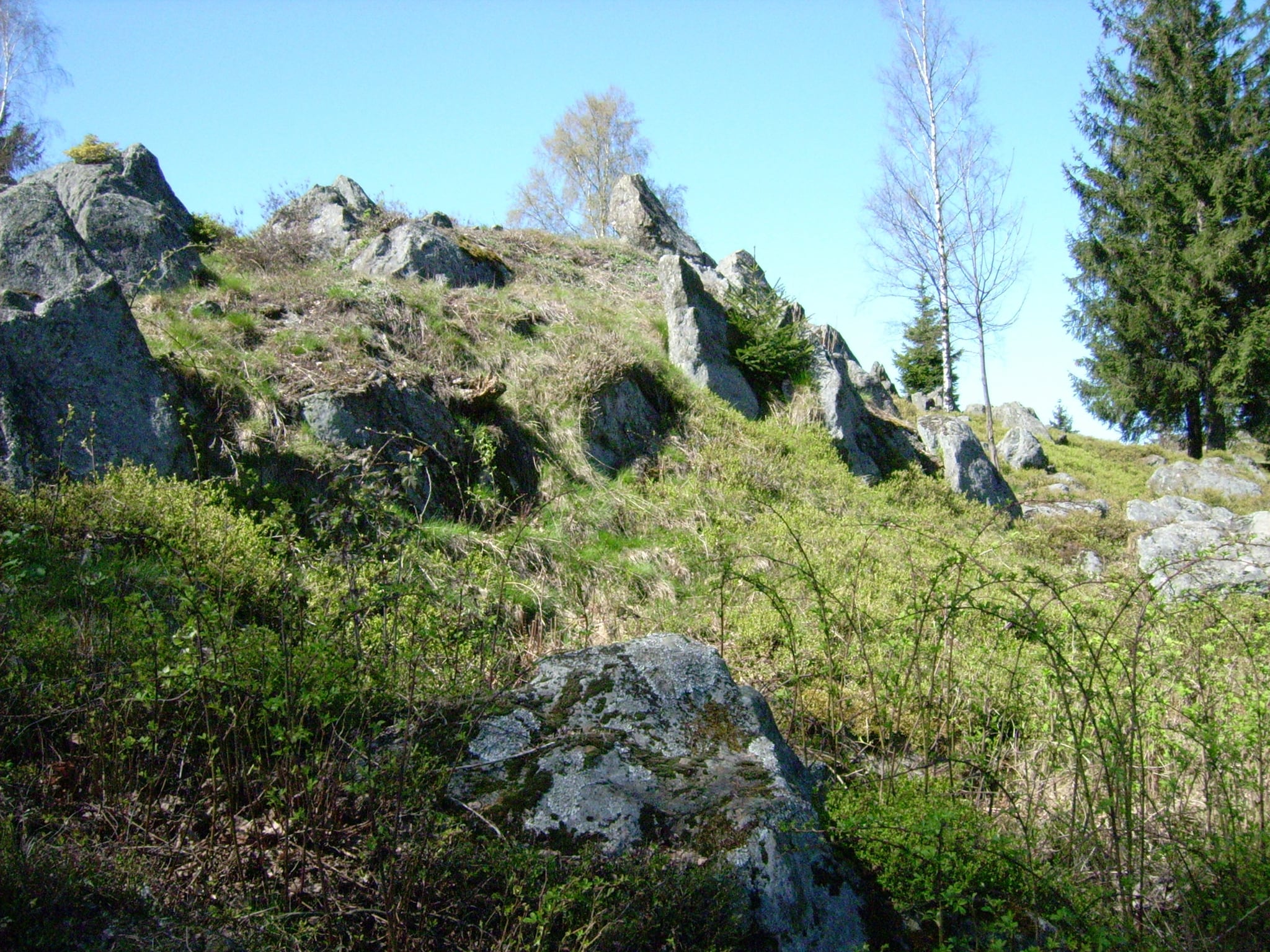   Am Hochfels