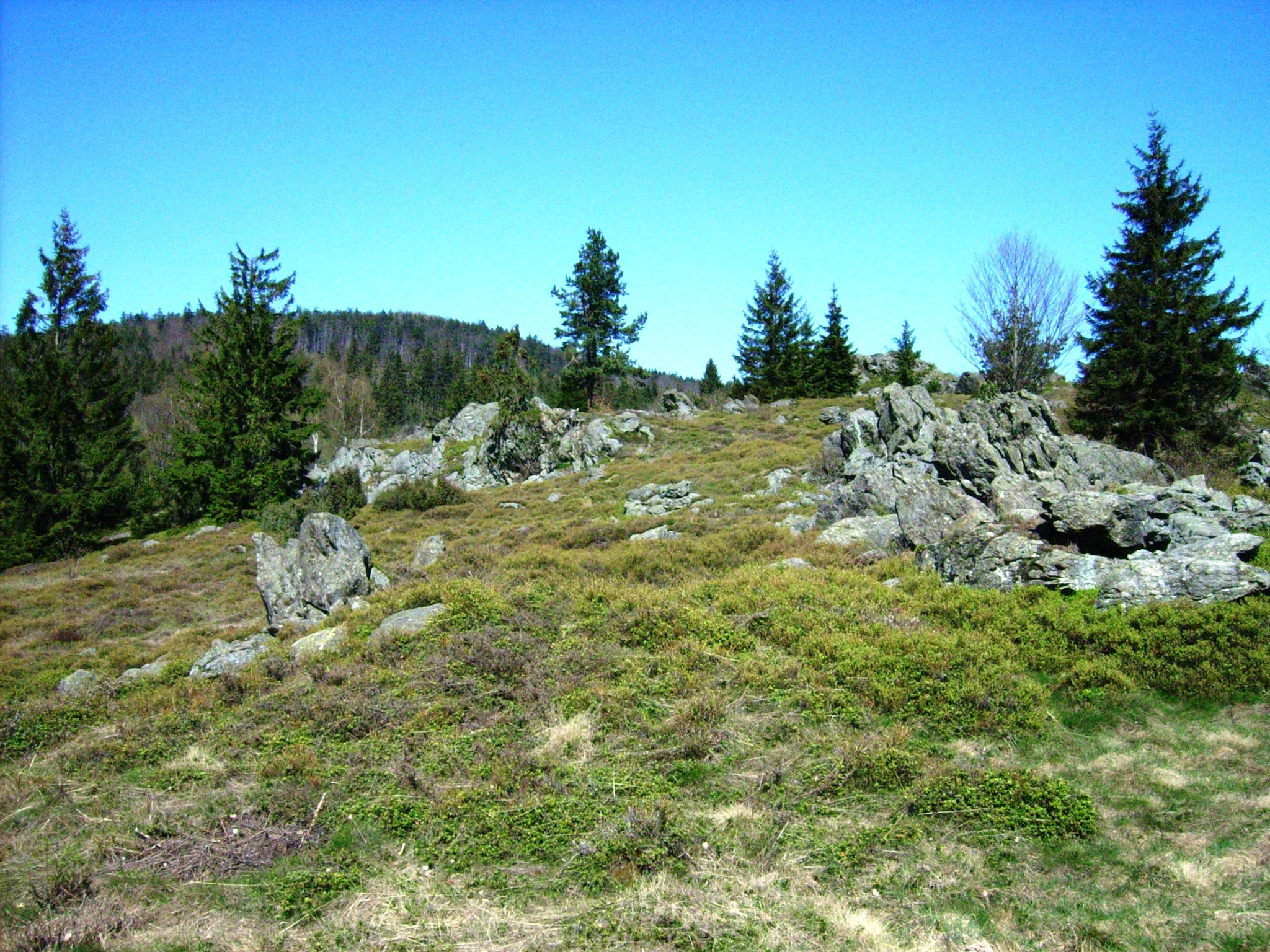   Am Hochfels