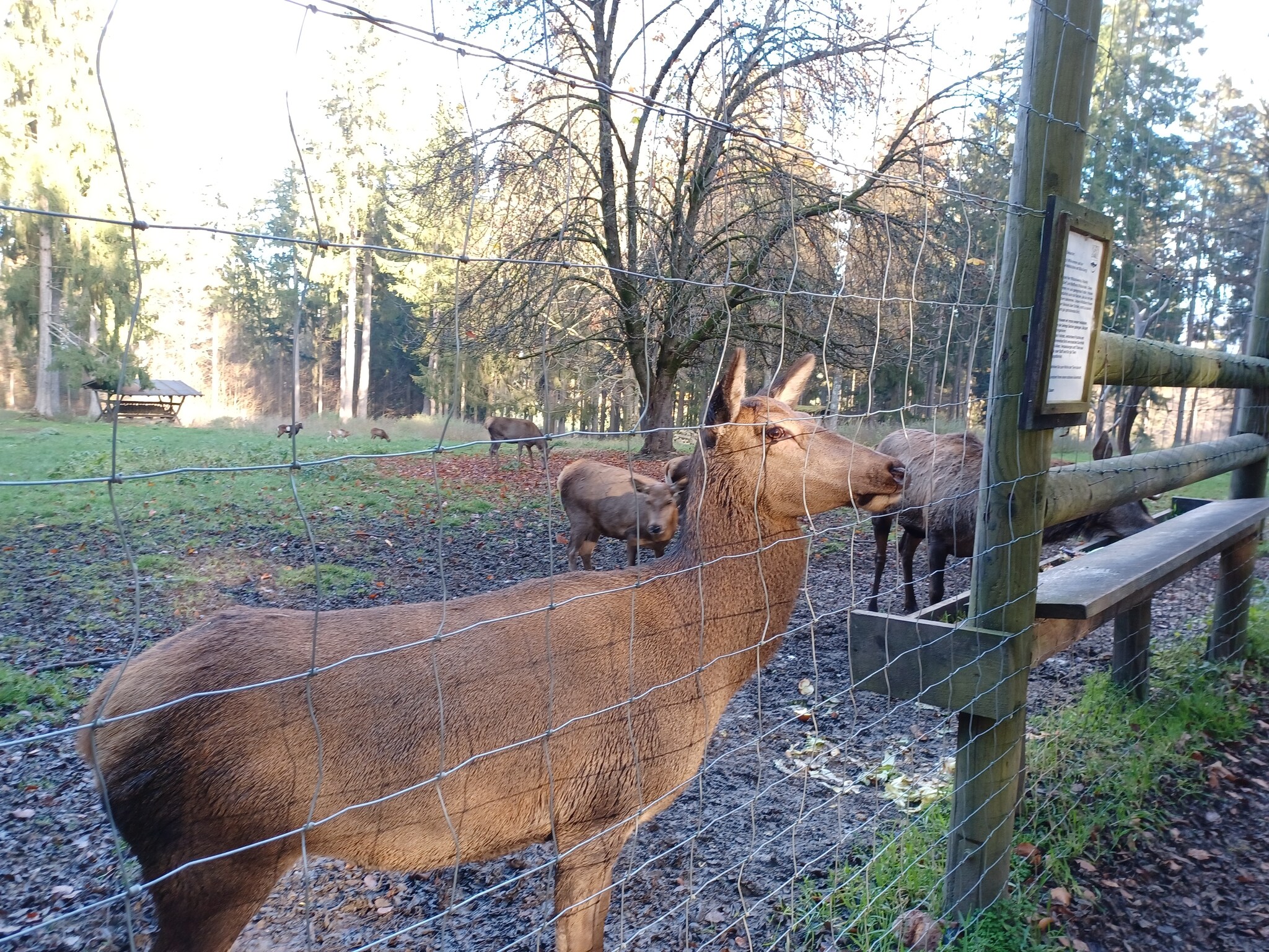   Am Hochfels