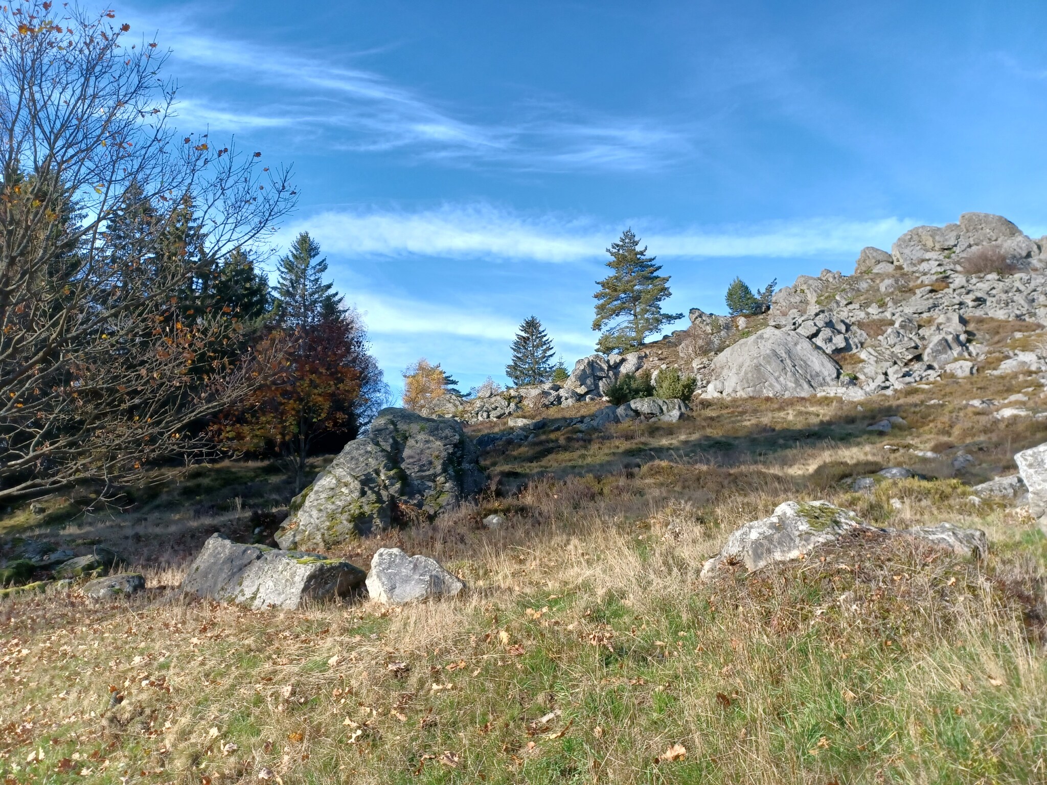  Am Hochfels