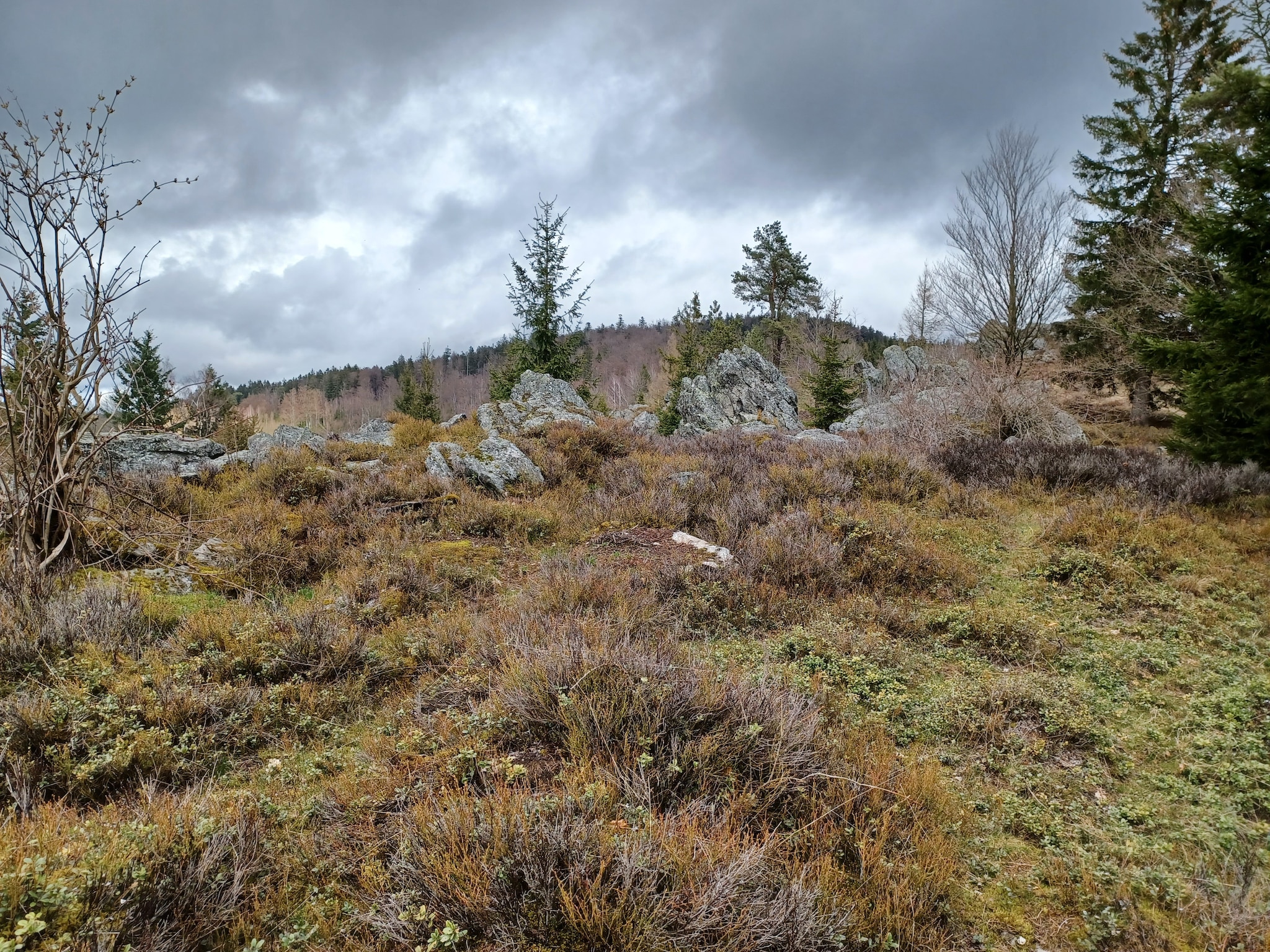  Am Hochfels