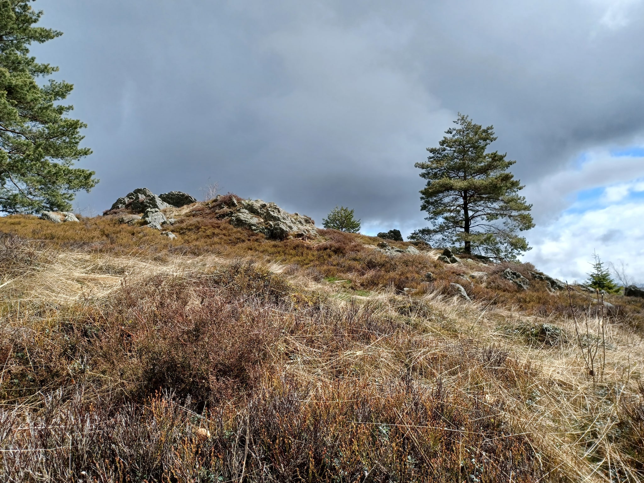   Am Hochfels