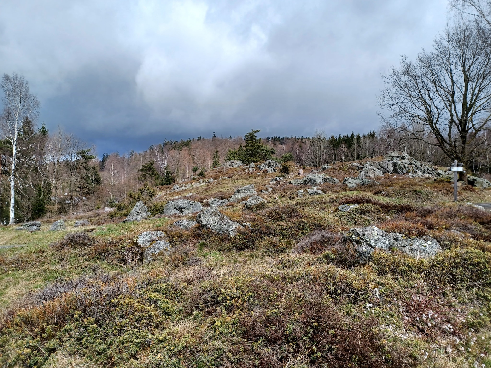   Am Hochfels