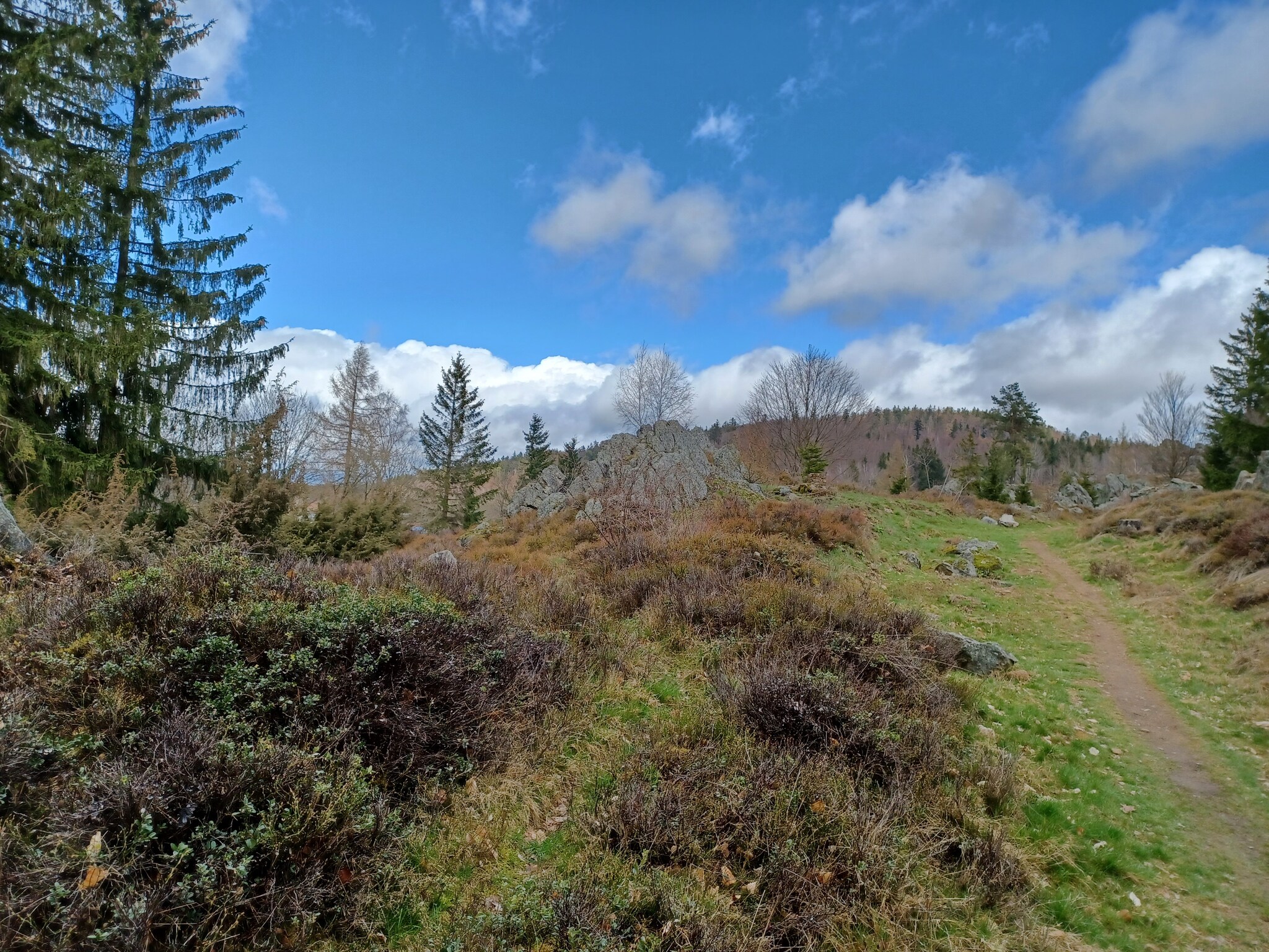   Am Hochfels