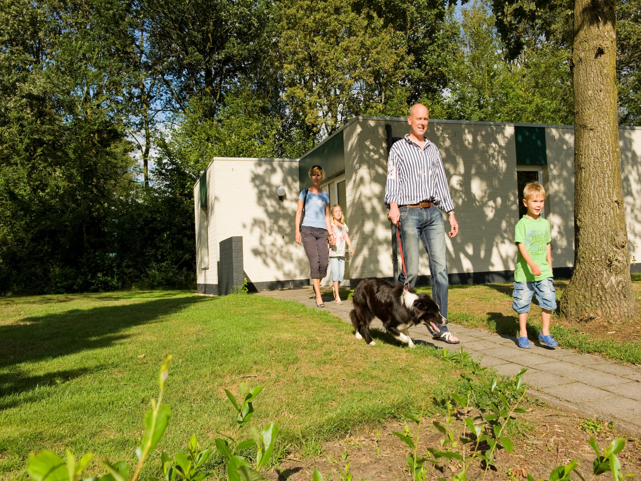   Vakantiepark Hunzedal 5