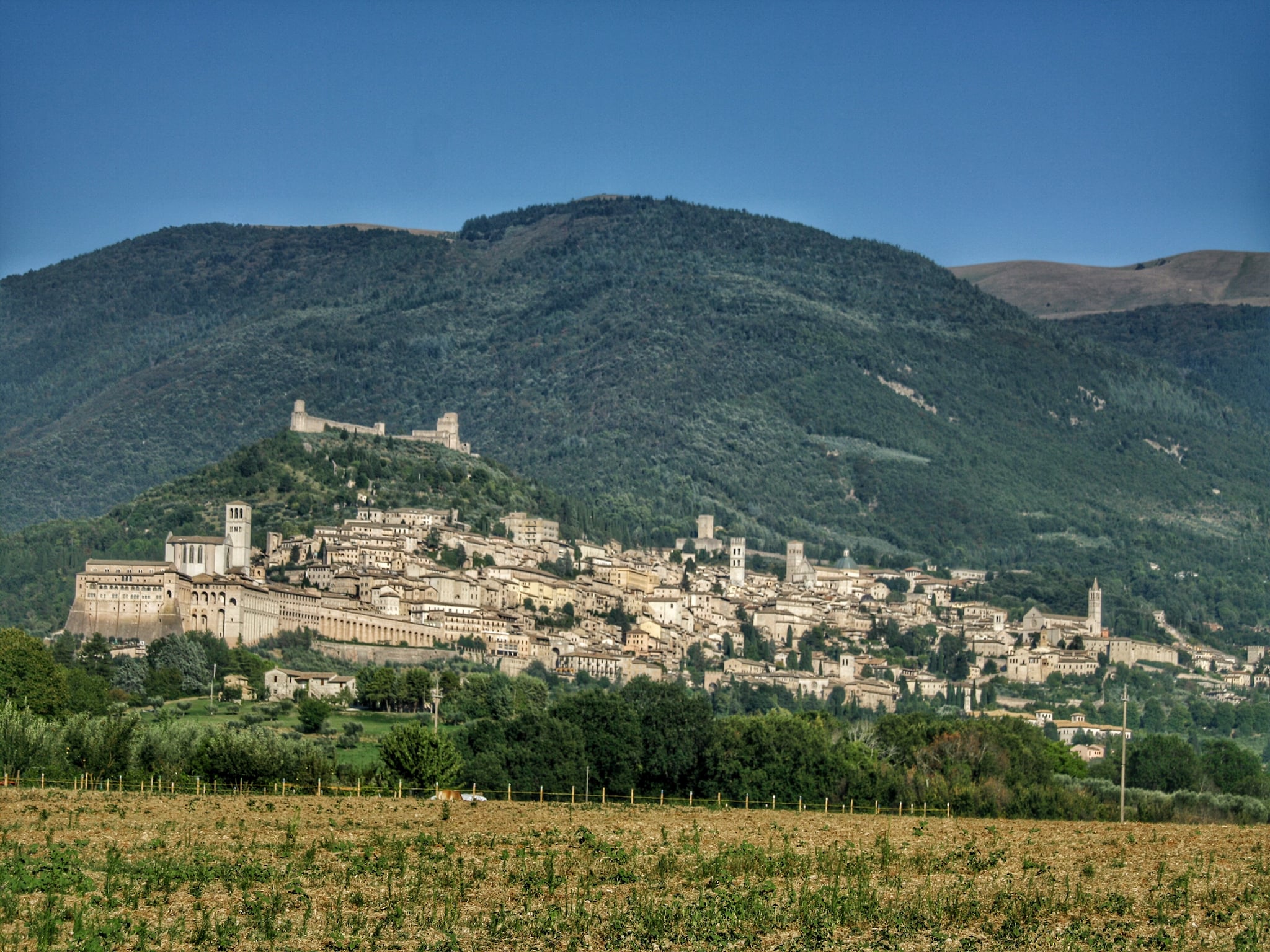 Ferienhaus Ginestrilo