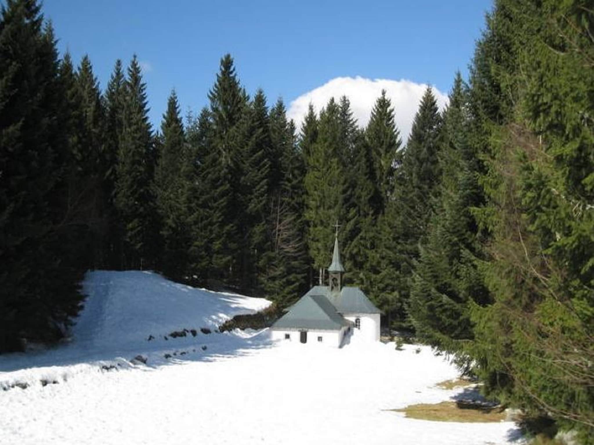 Ferienhaus Chalet de montagne