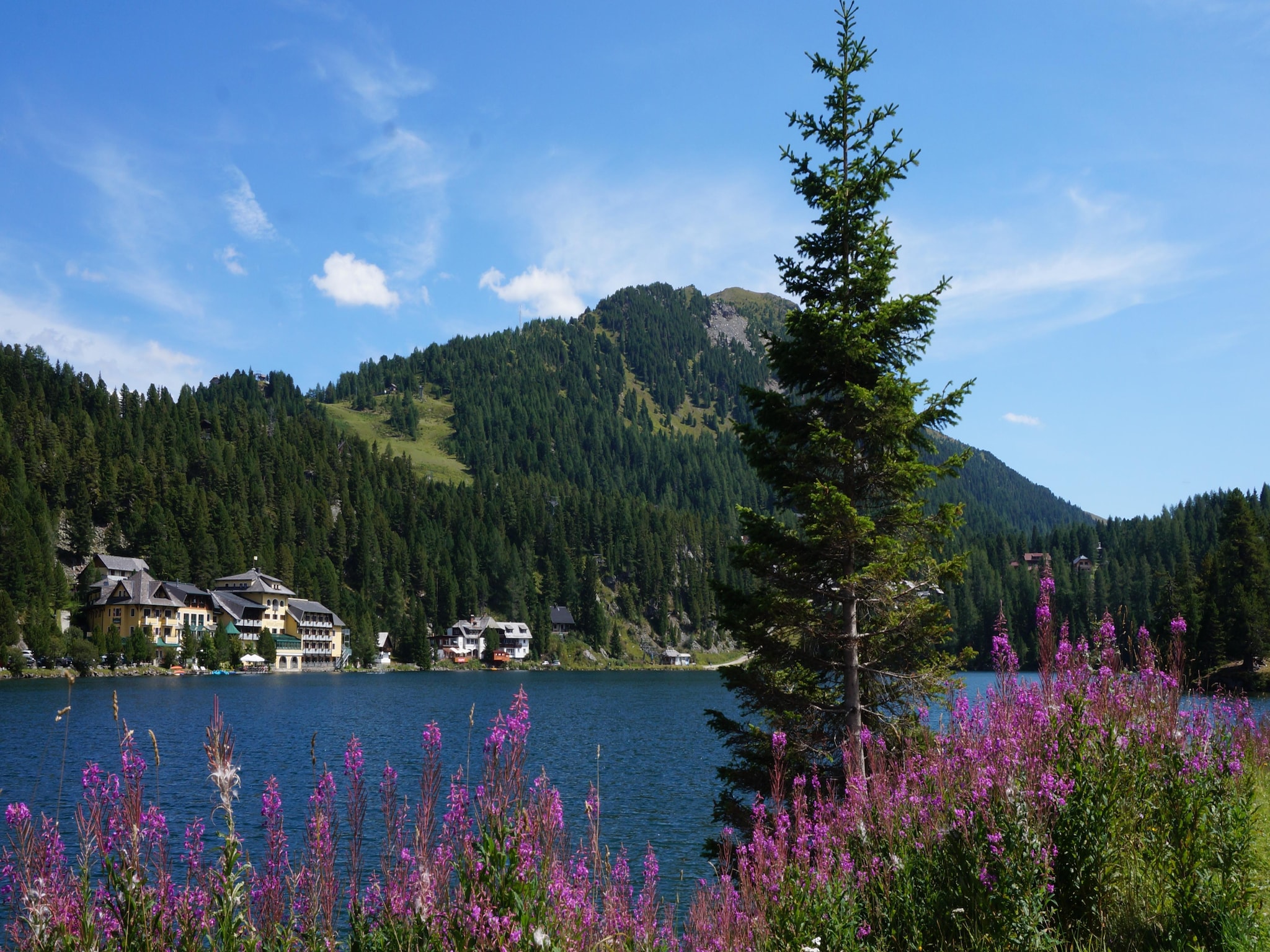 Ferienhaus Chalet Bergliebe