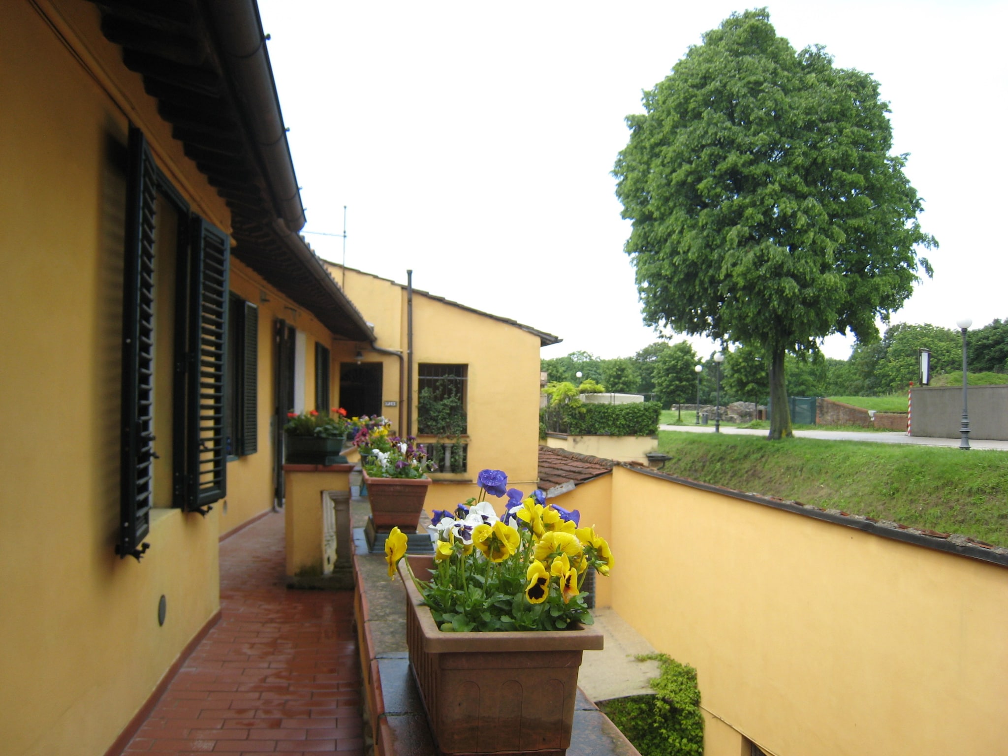 Apartment Promenade