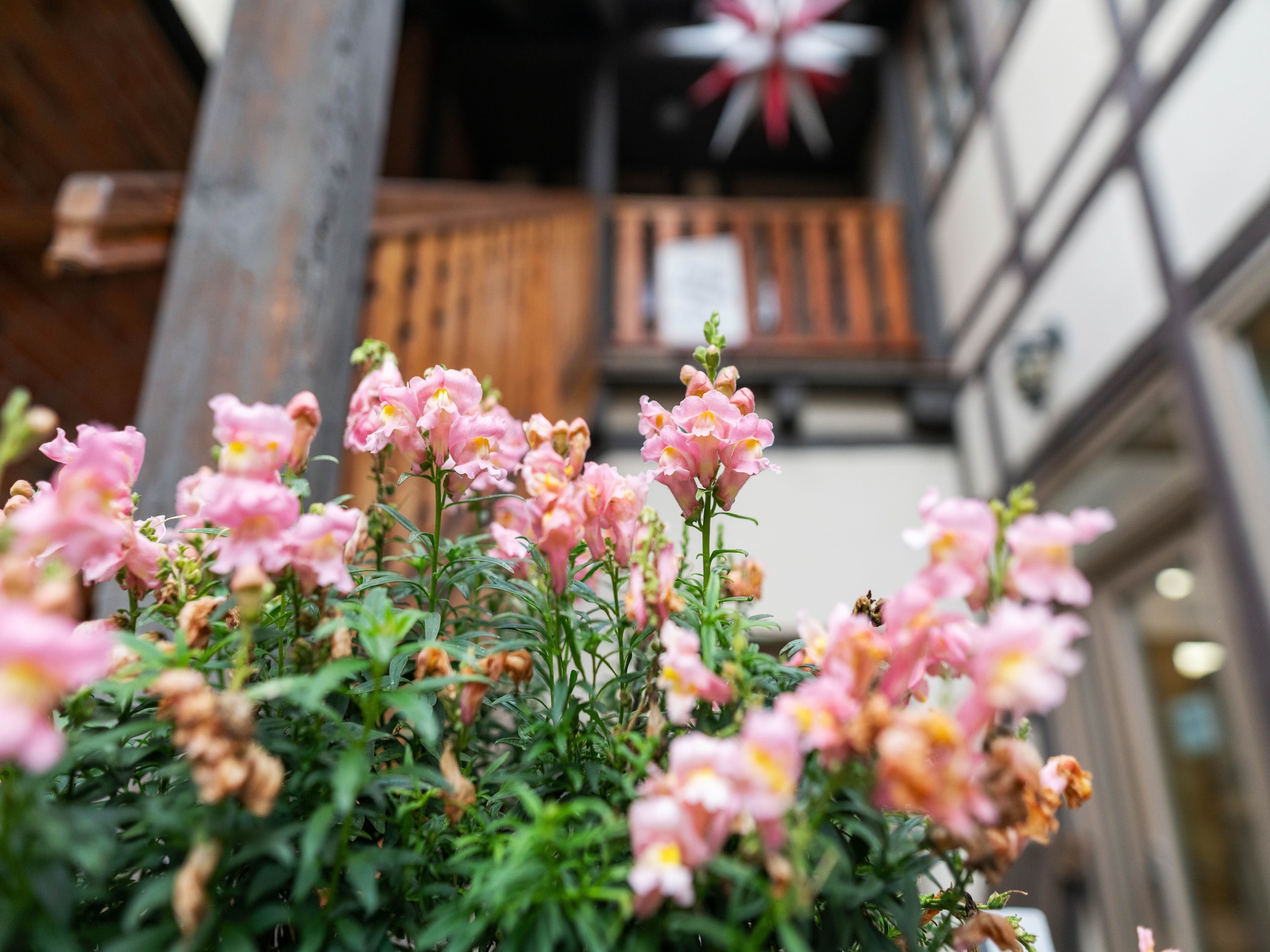Appartement In der Altstadt
