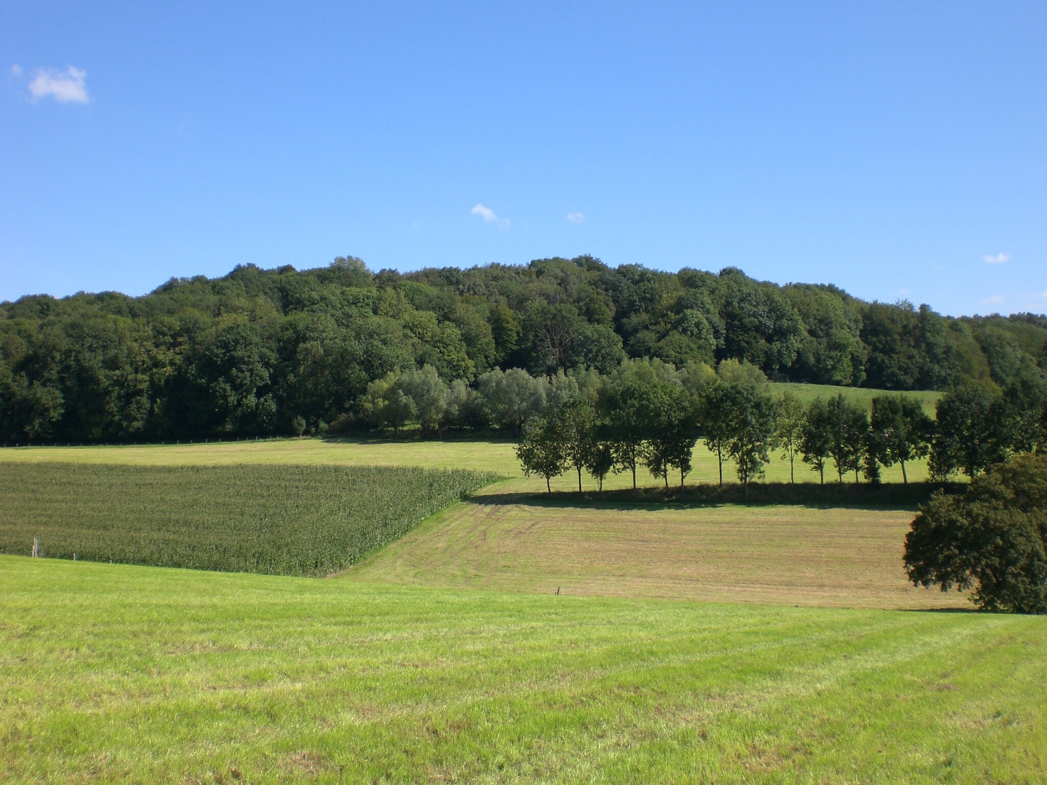   Hoeve A Gen Water - Botterblumke