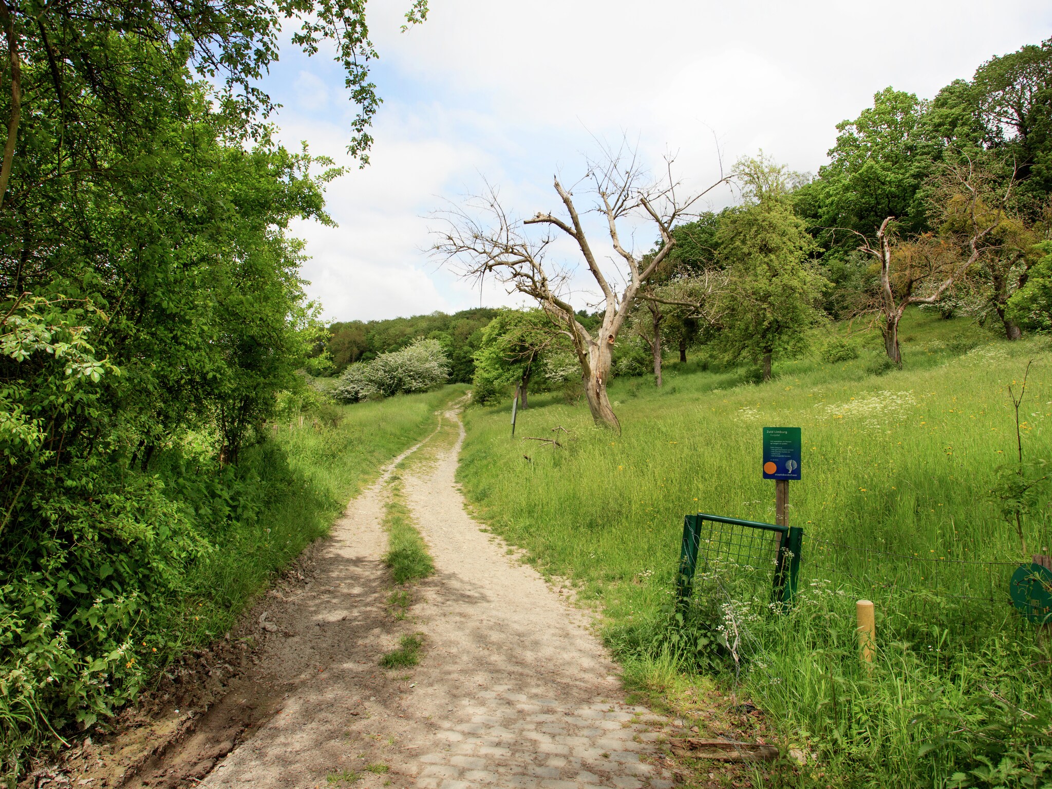  Hoeve A Gen Water - Botterblumke