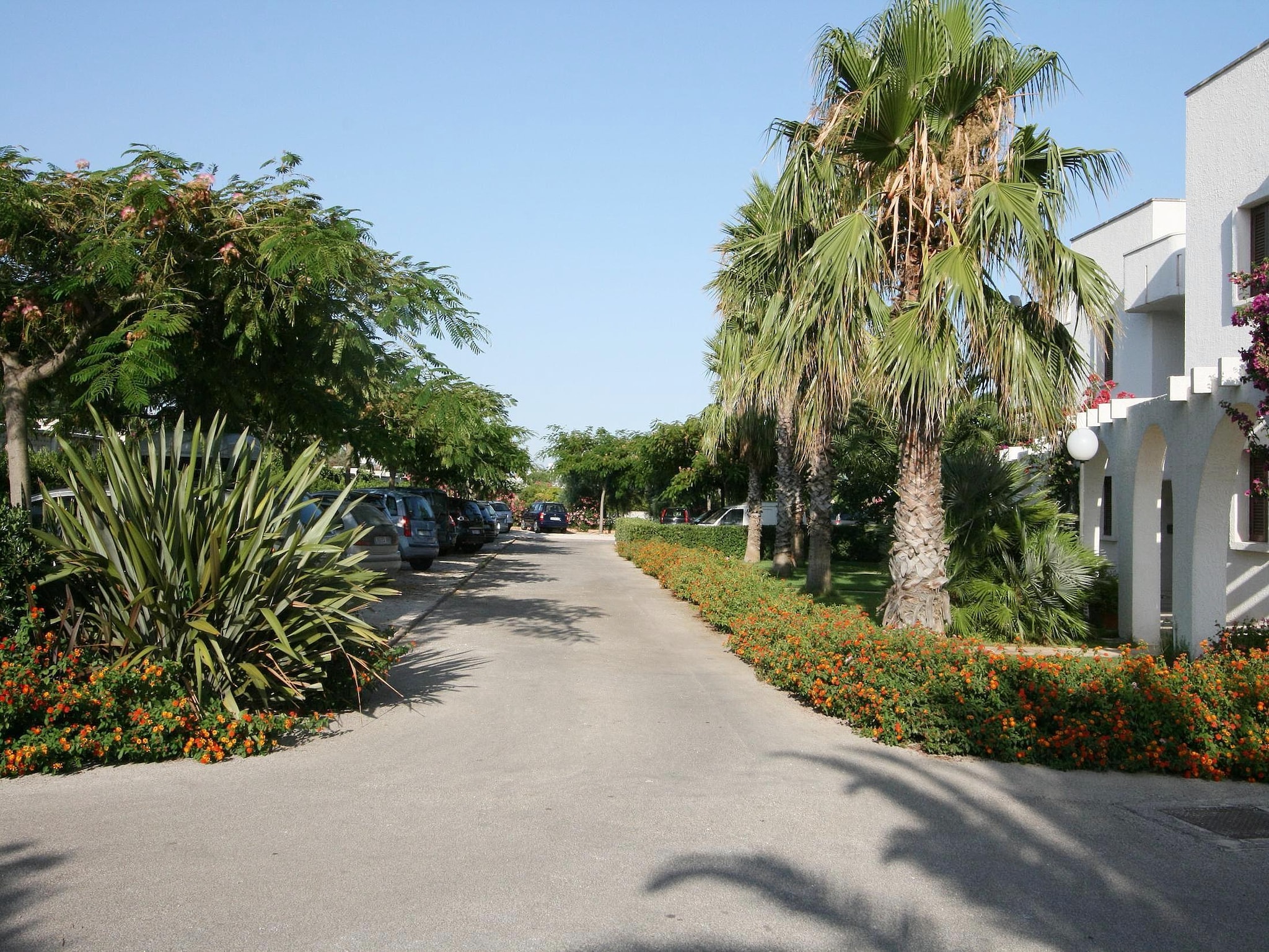 Apartment Residence Barbara 2