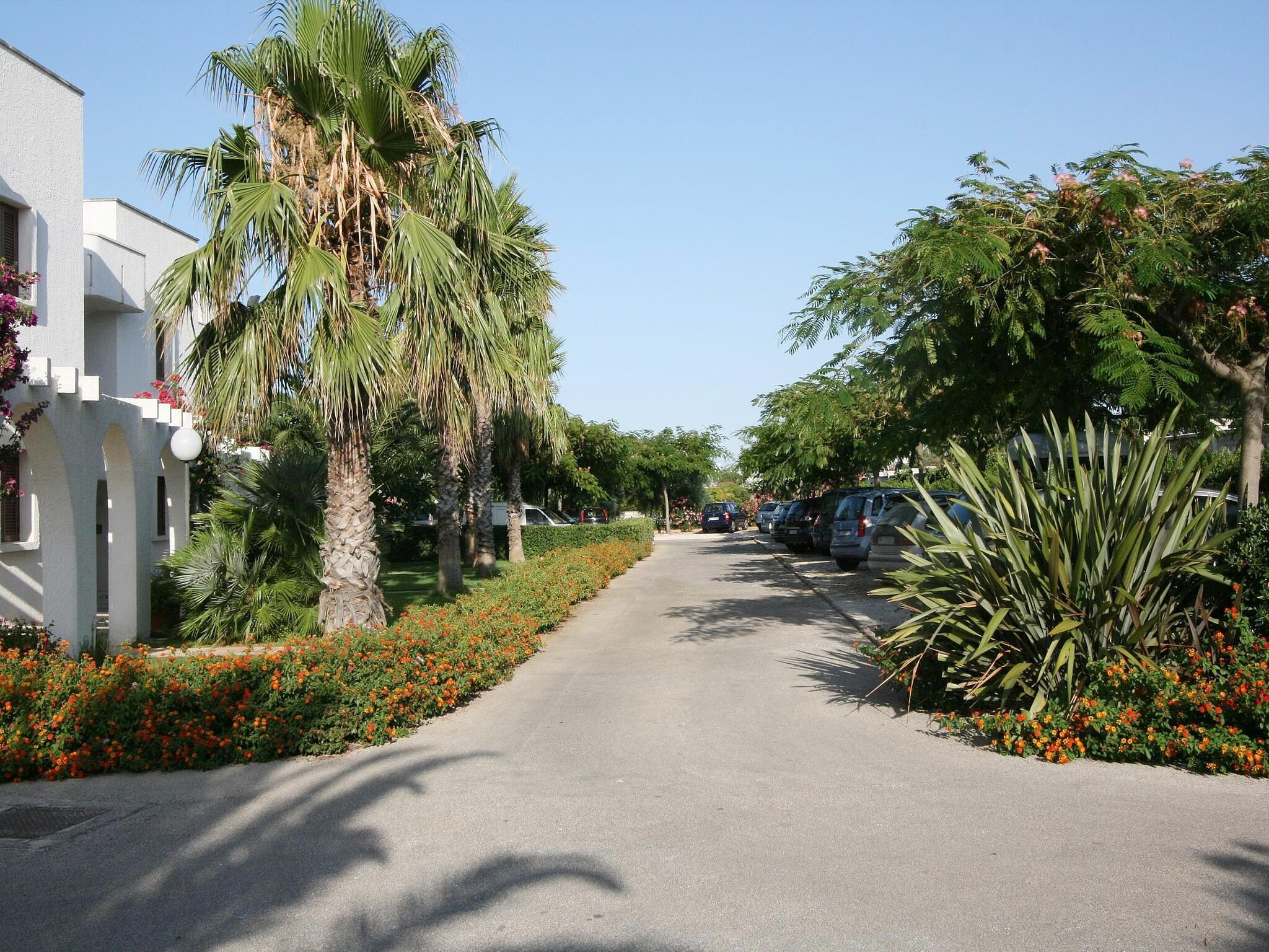 Apartment Residence Barbara 2
