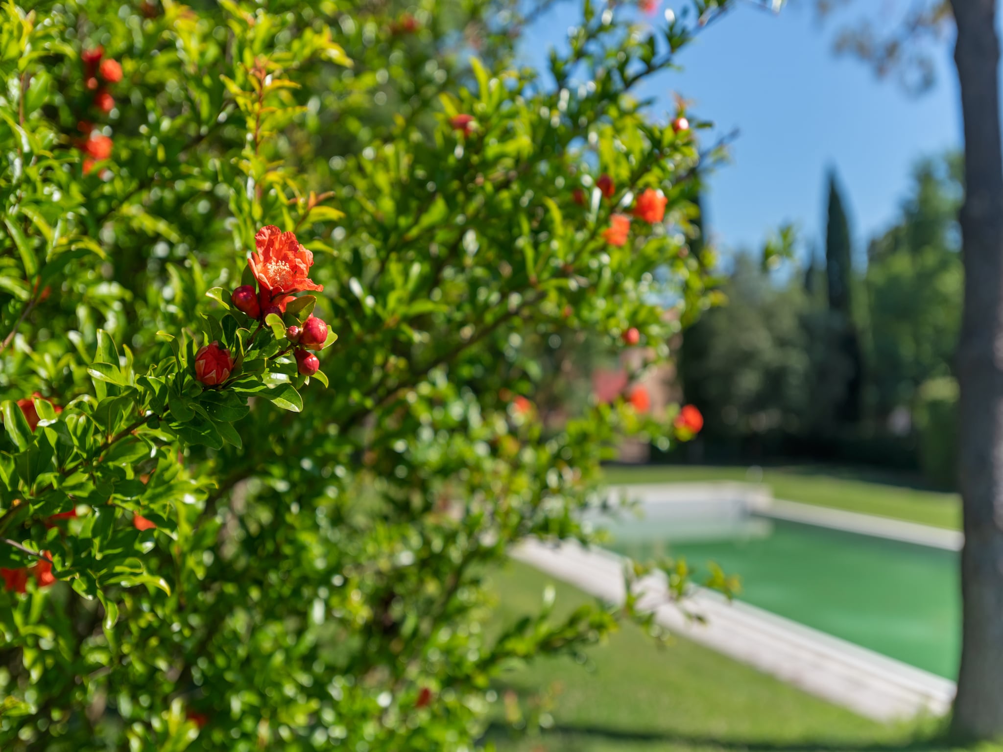   Relais Rignano 4