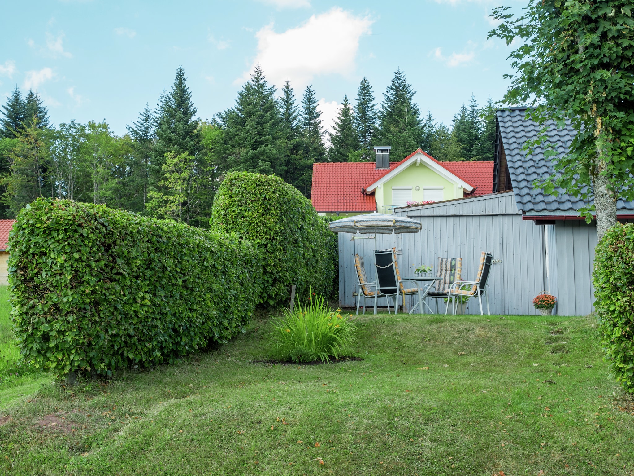 Ferienwohnung Kniebis