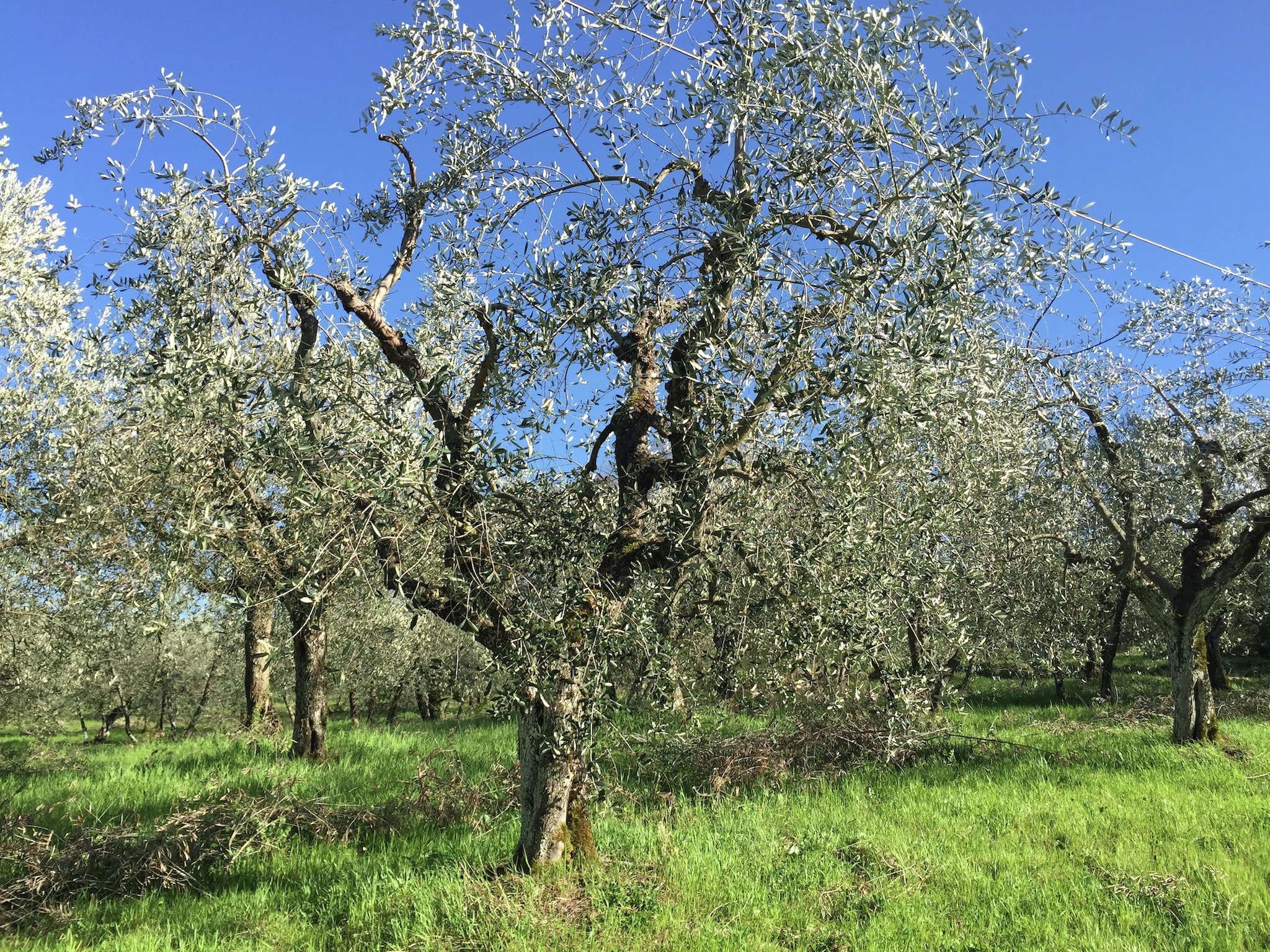 Ferienhaus Fienile