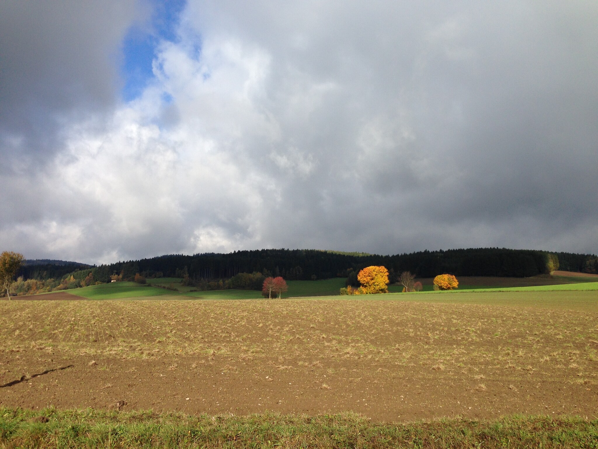   Morgensonne