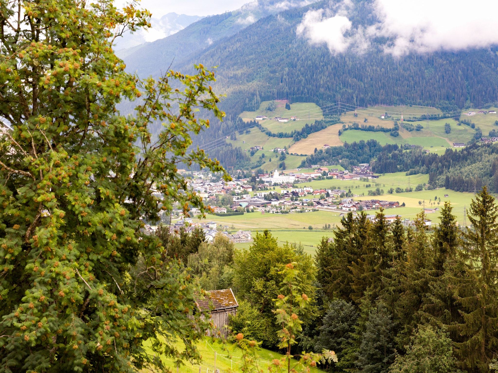 Ferienwohnung Schlossblick