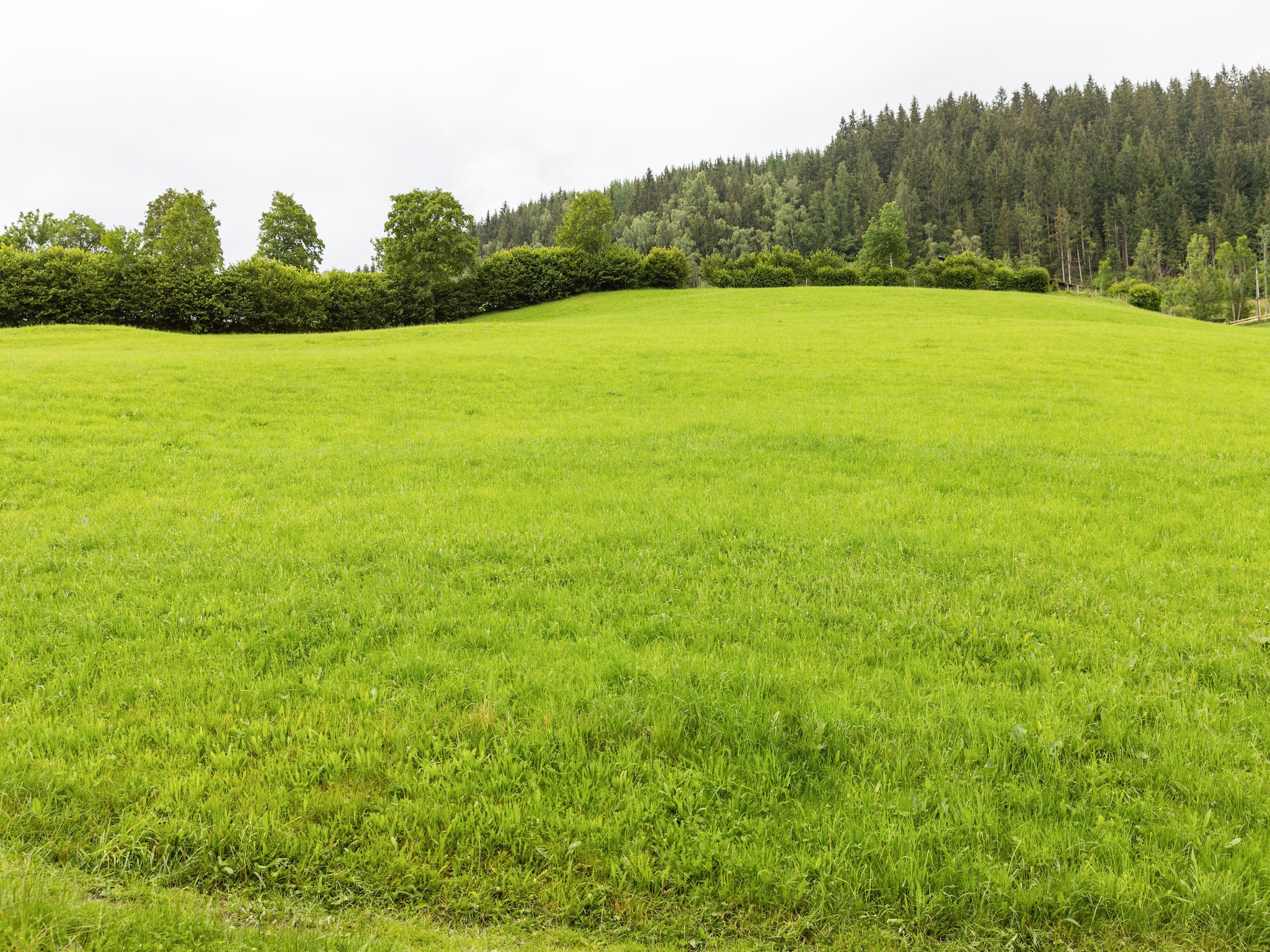 Ferienwohnung Schlossblick